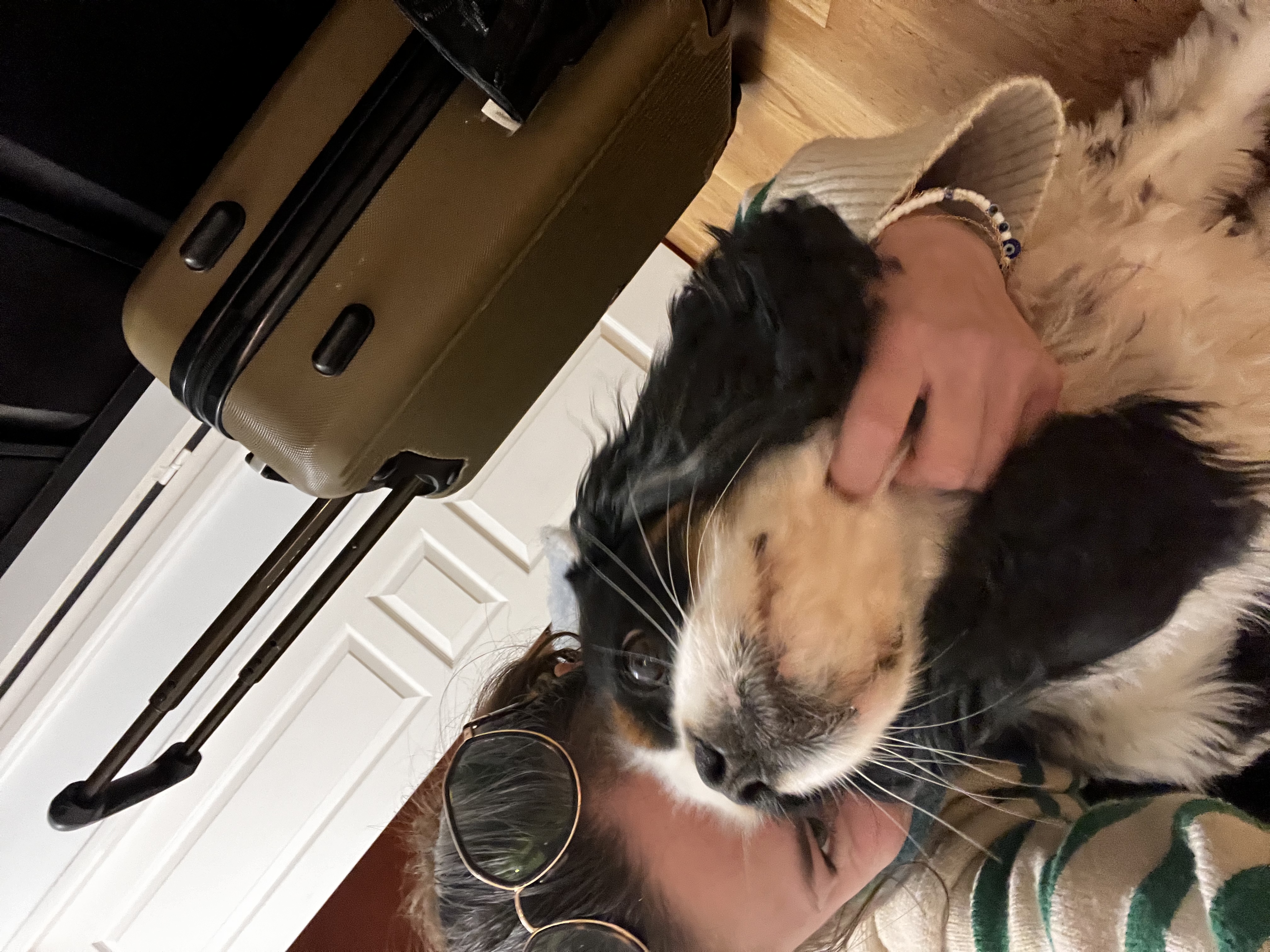 image-6