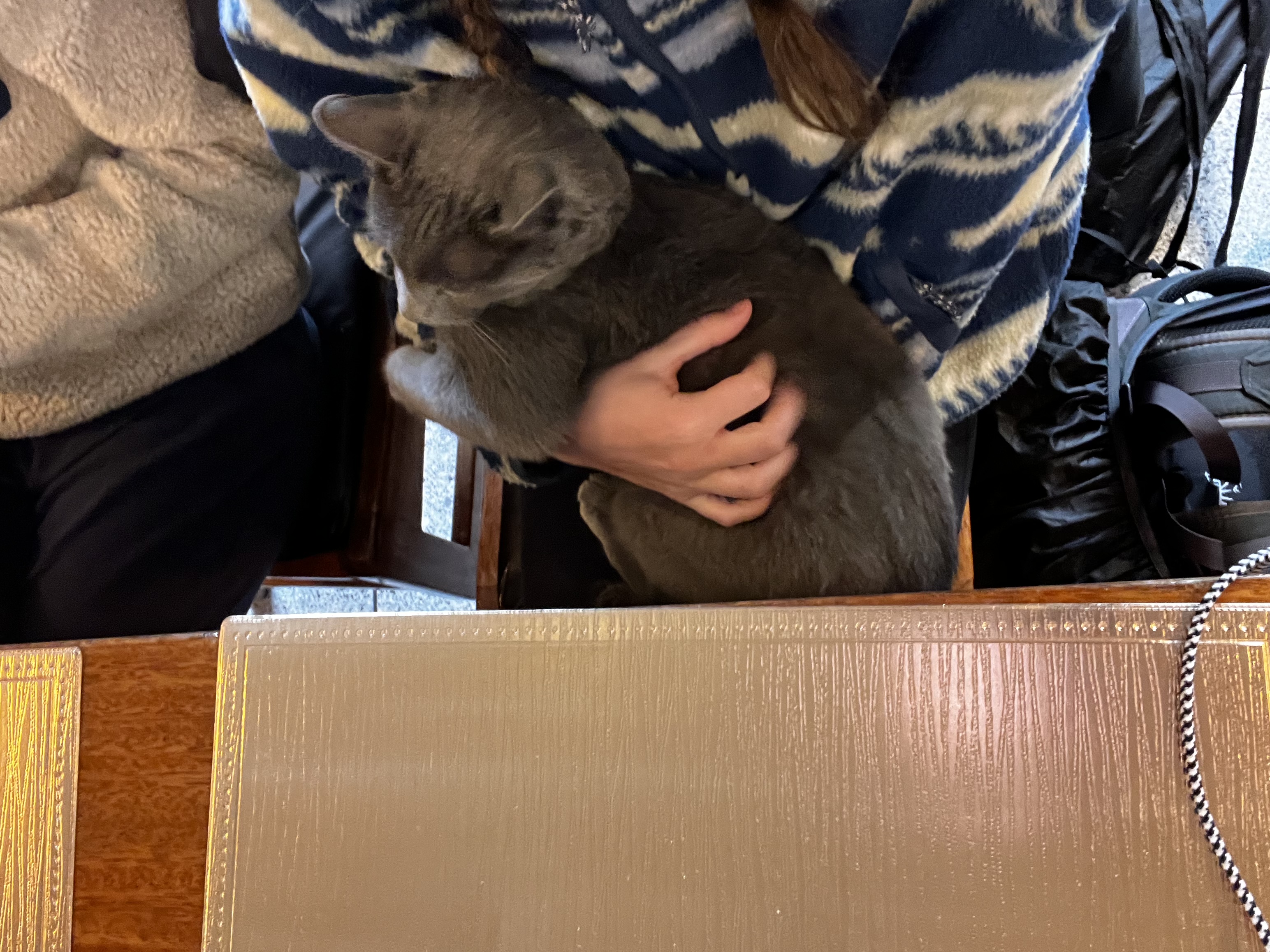 image-7