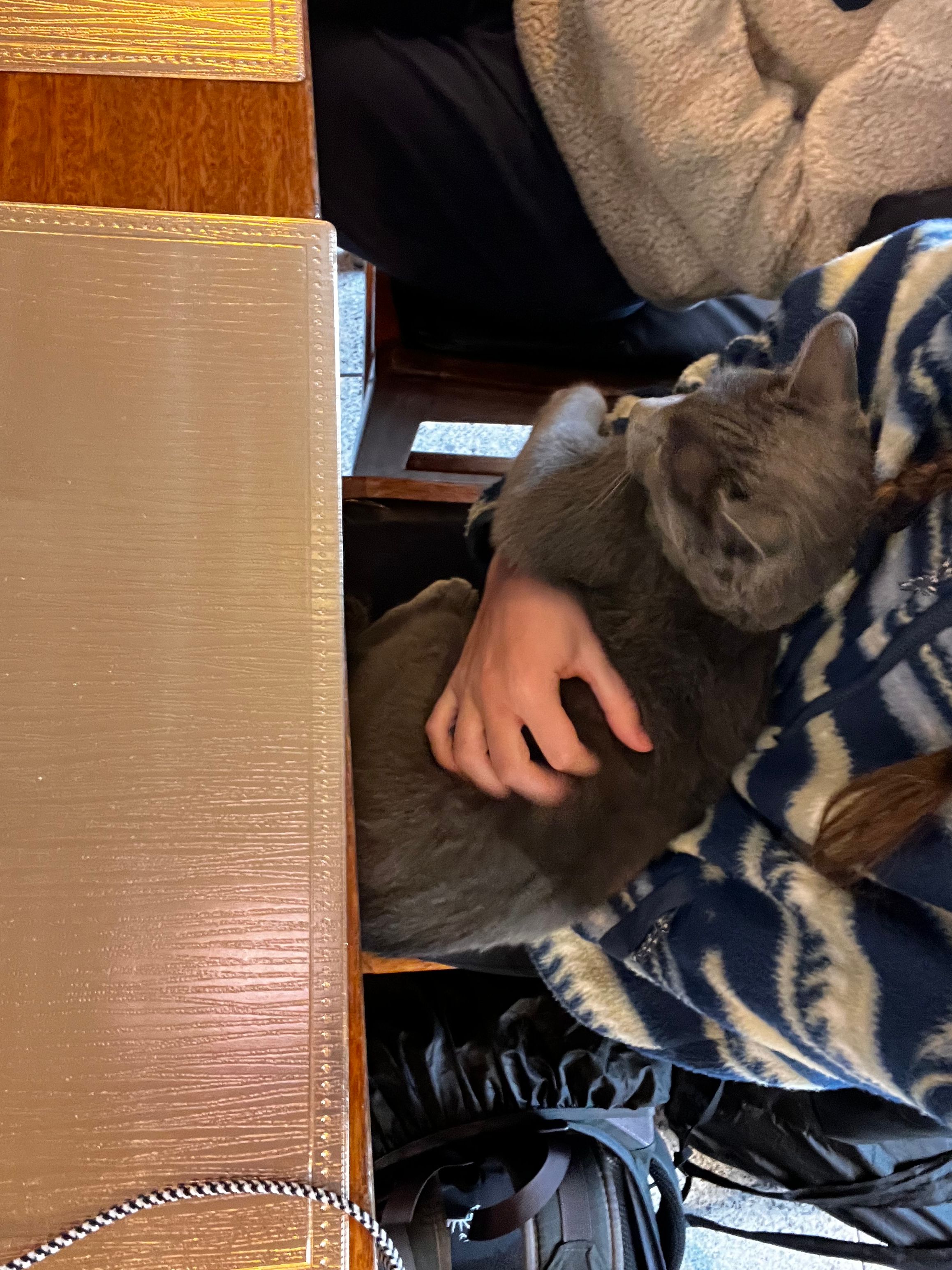 image-7