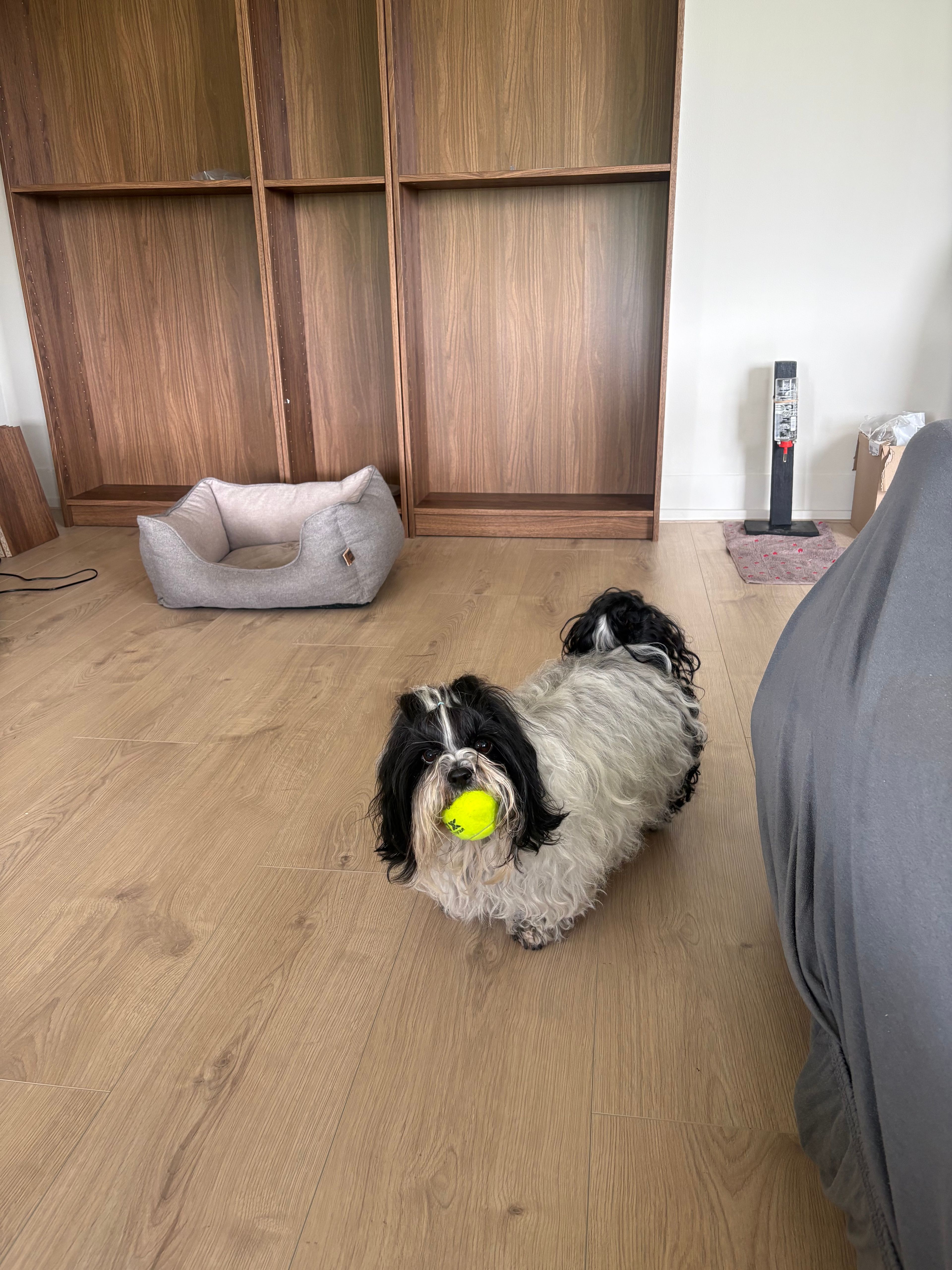 image-15