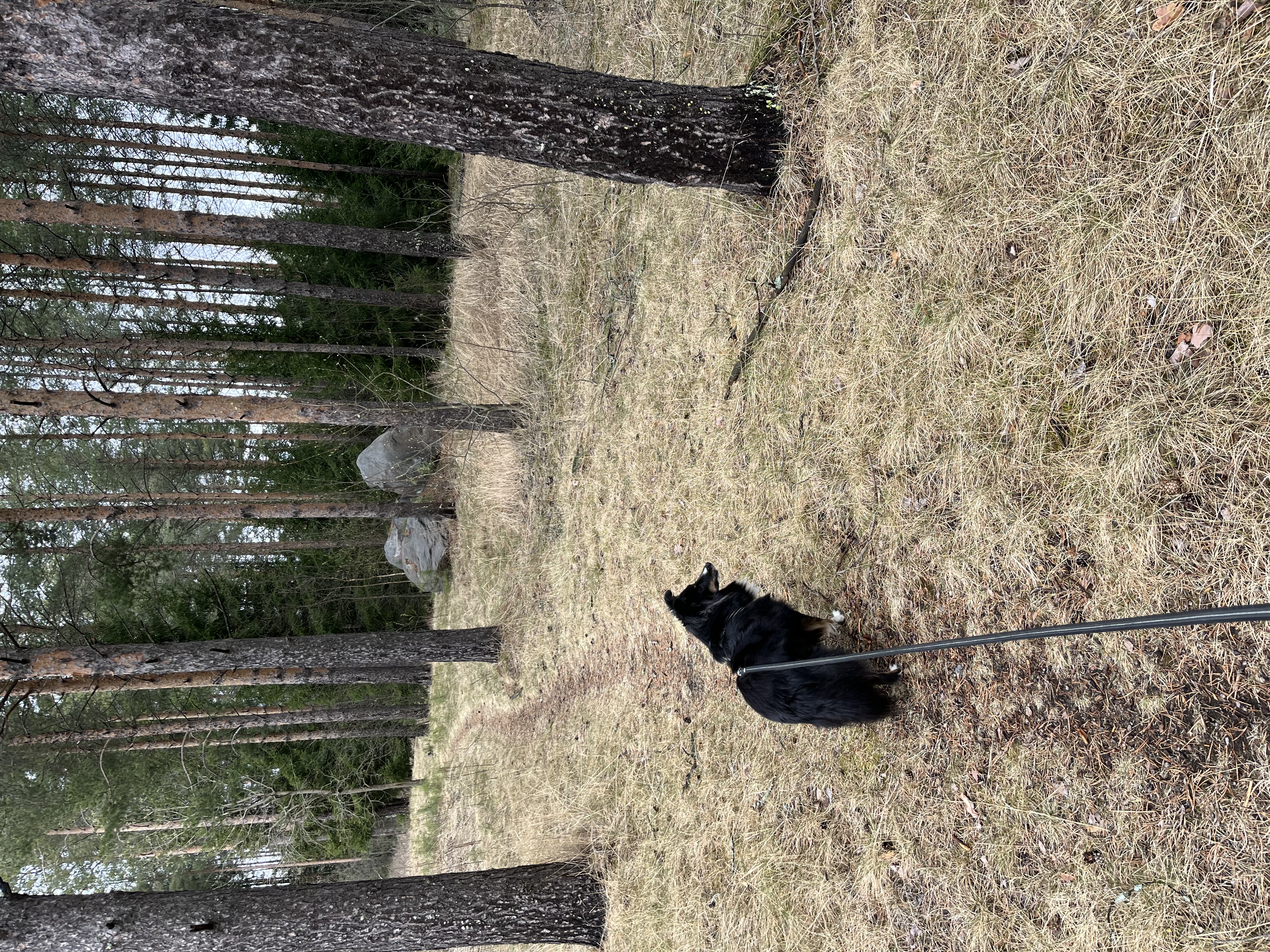 image-13