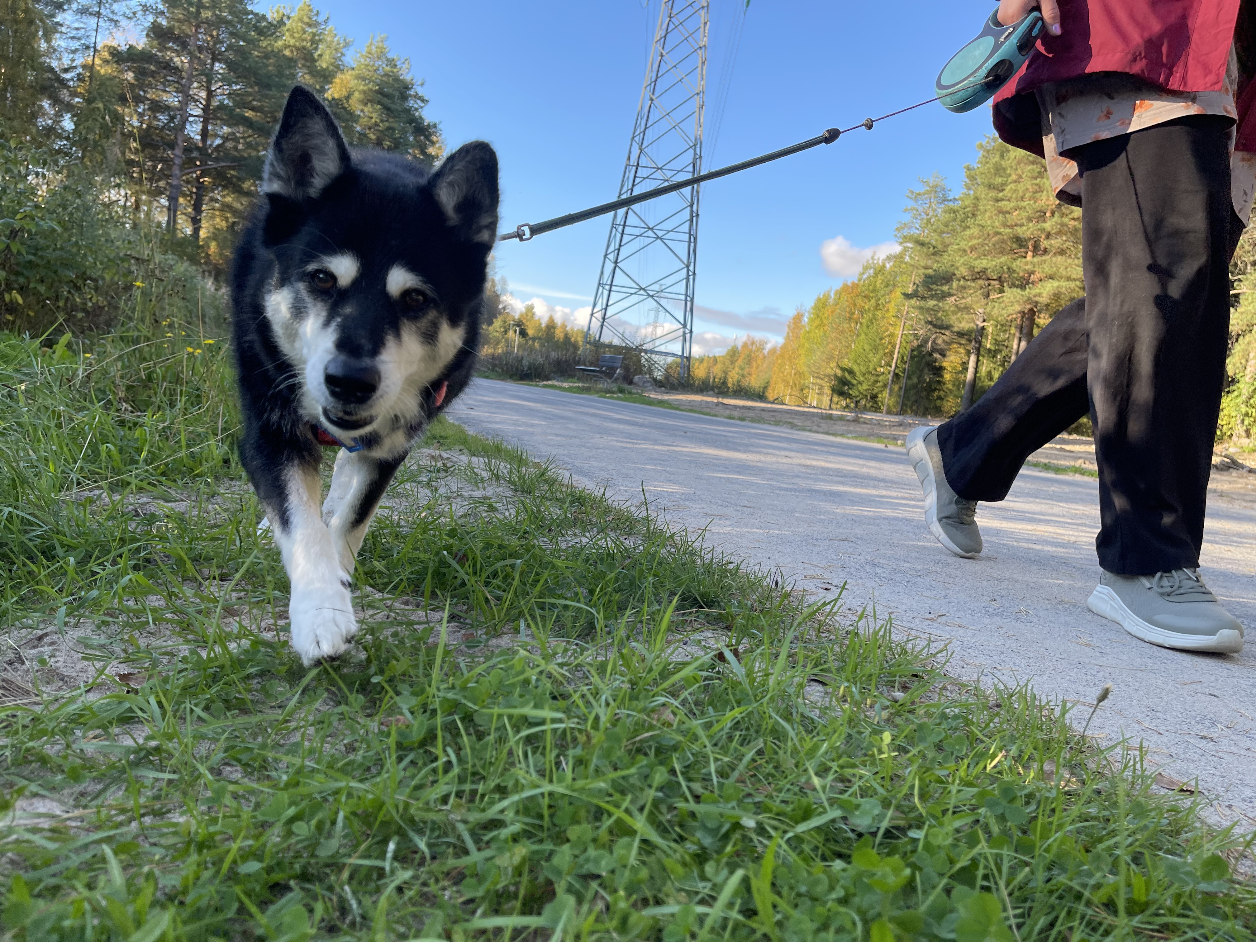 image-14