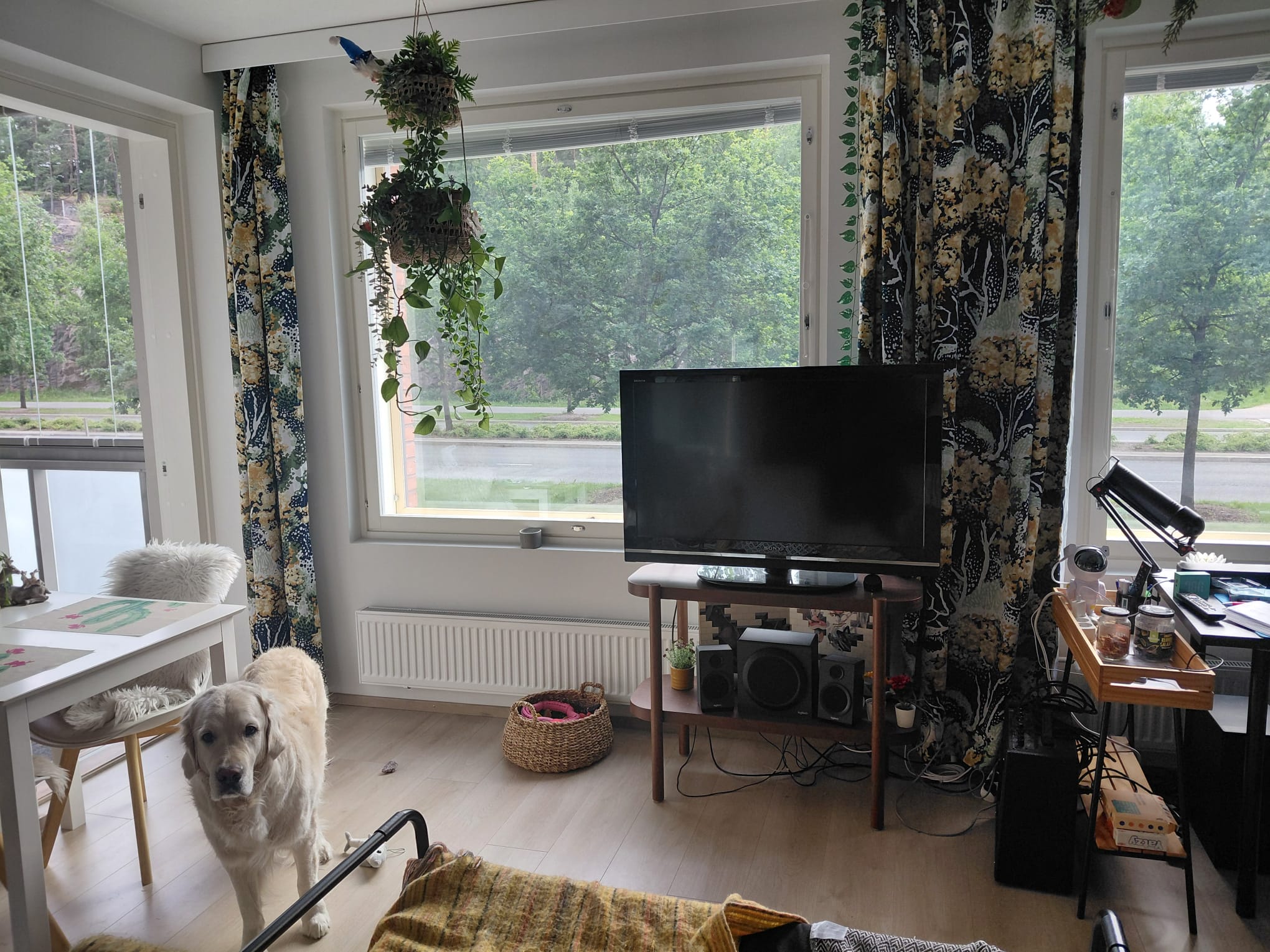 image-19
