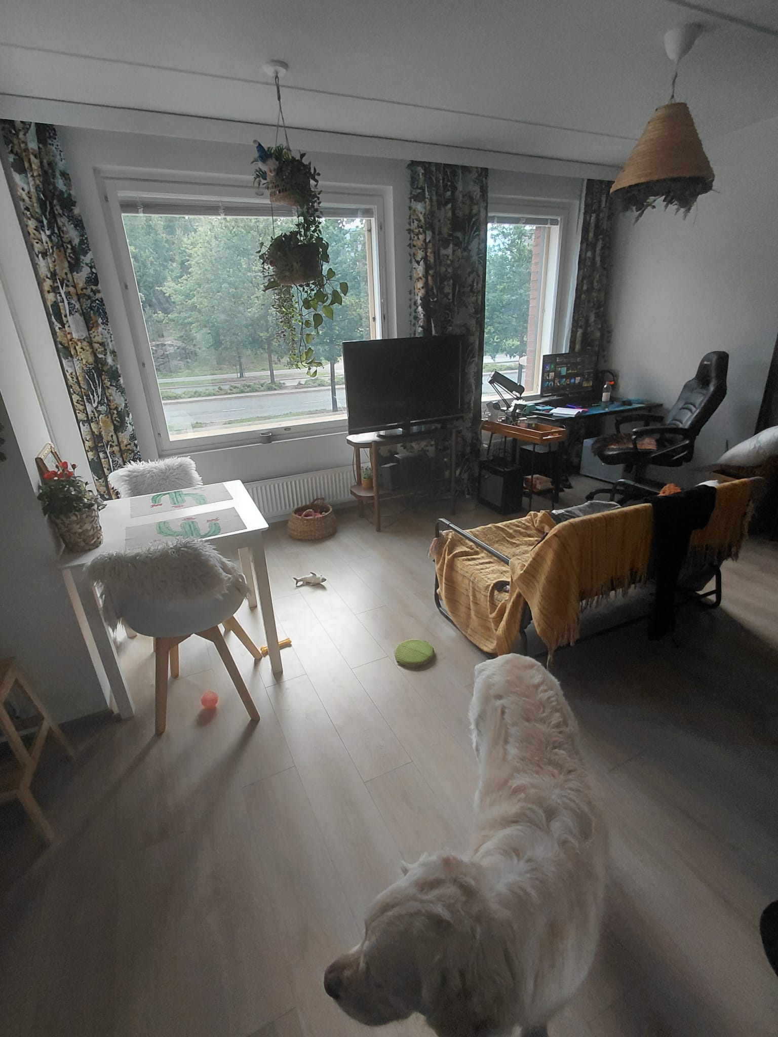 image-18