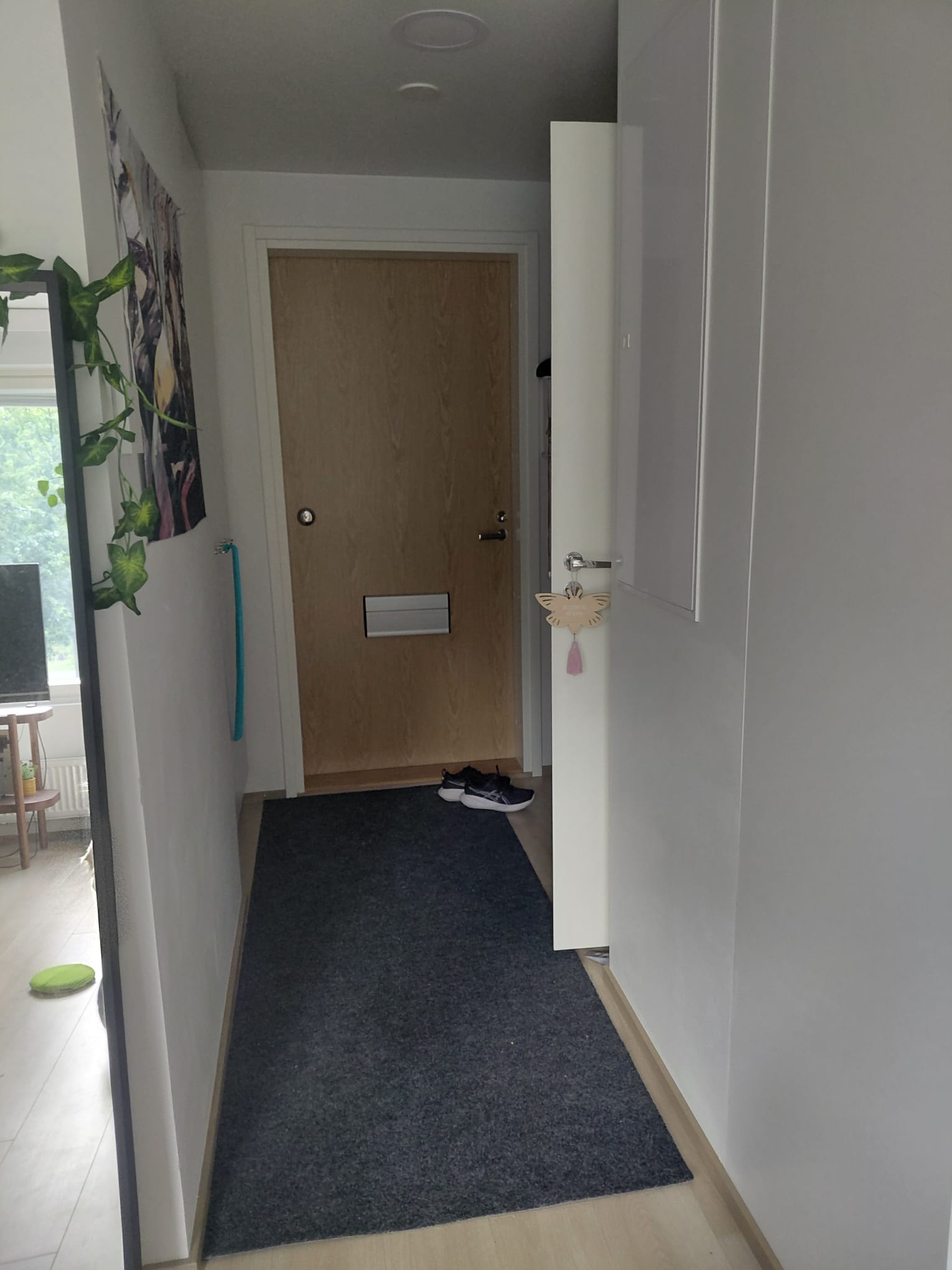 image-17
