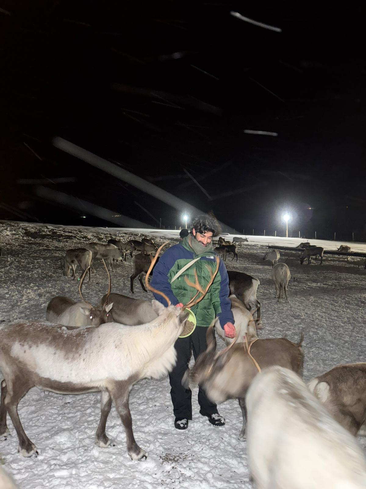 image-17