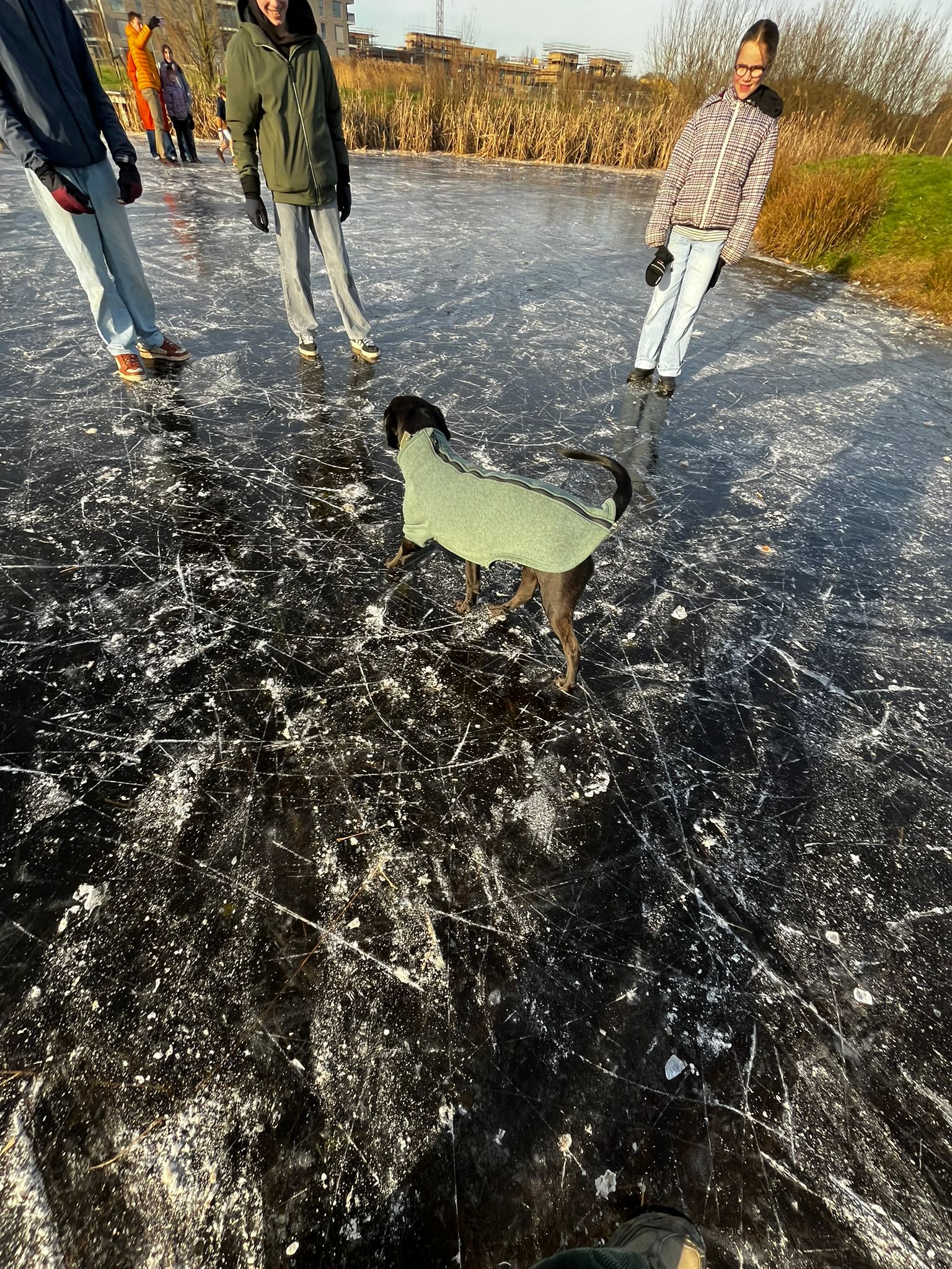 image-9
