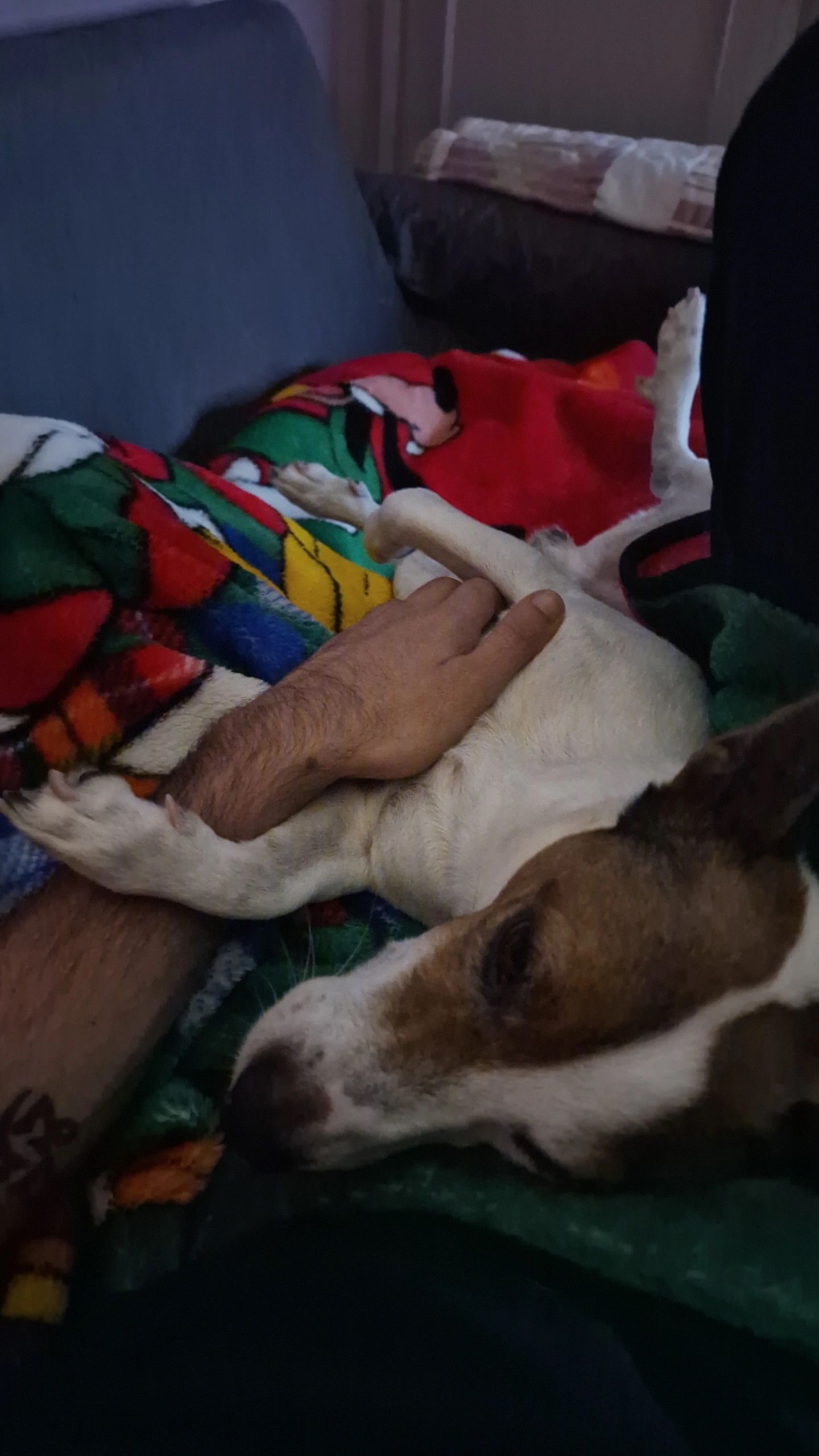 image-9