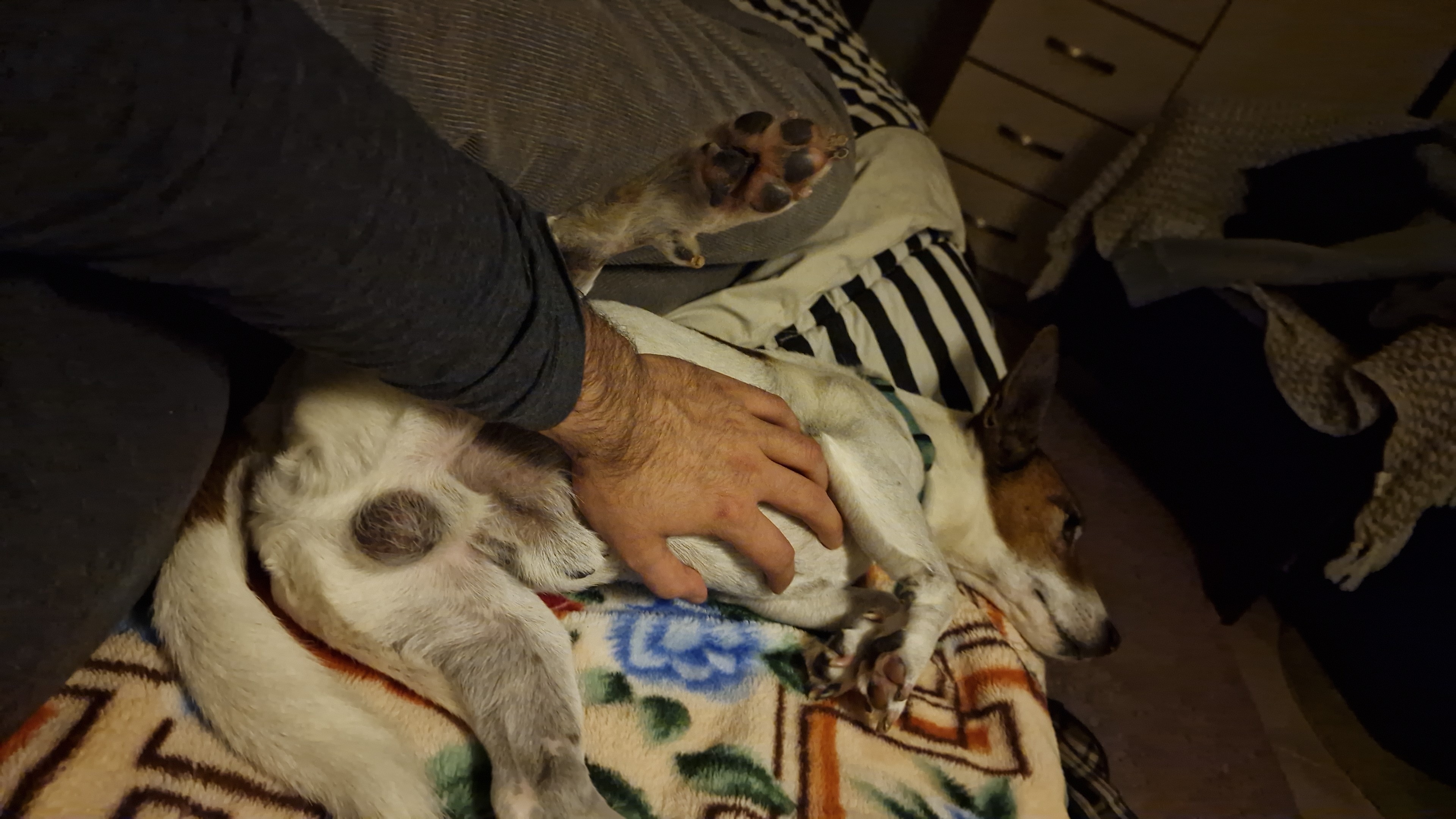 image-6