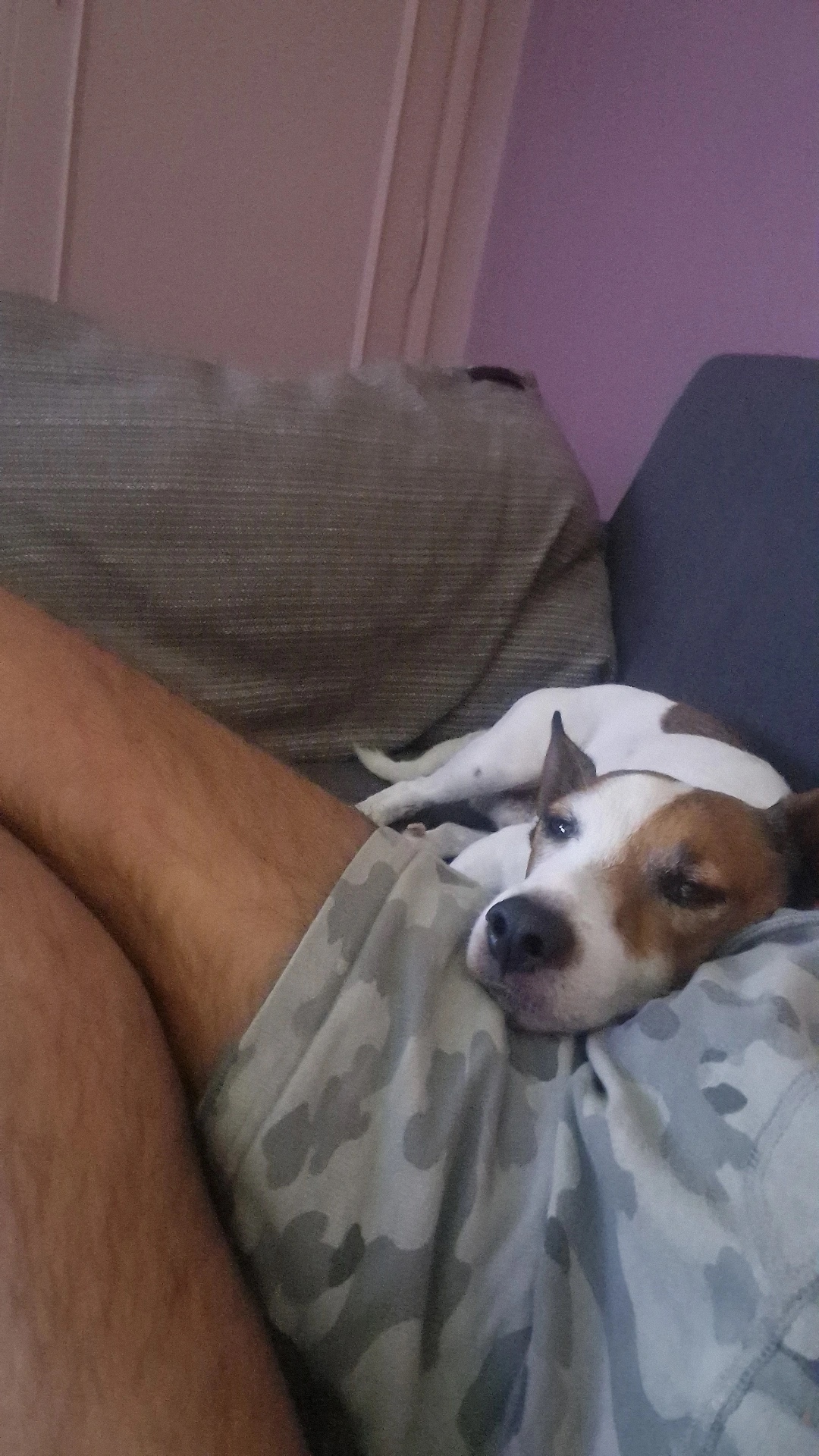 image-7