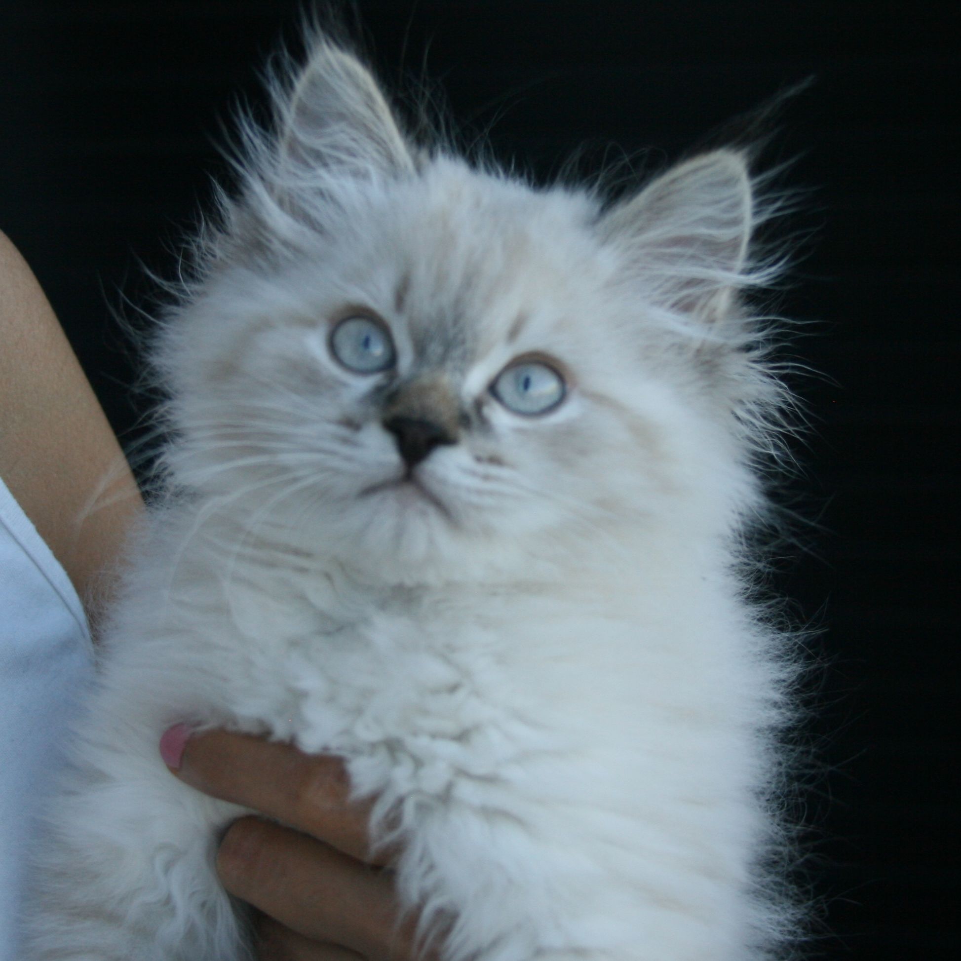 Cloud