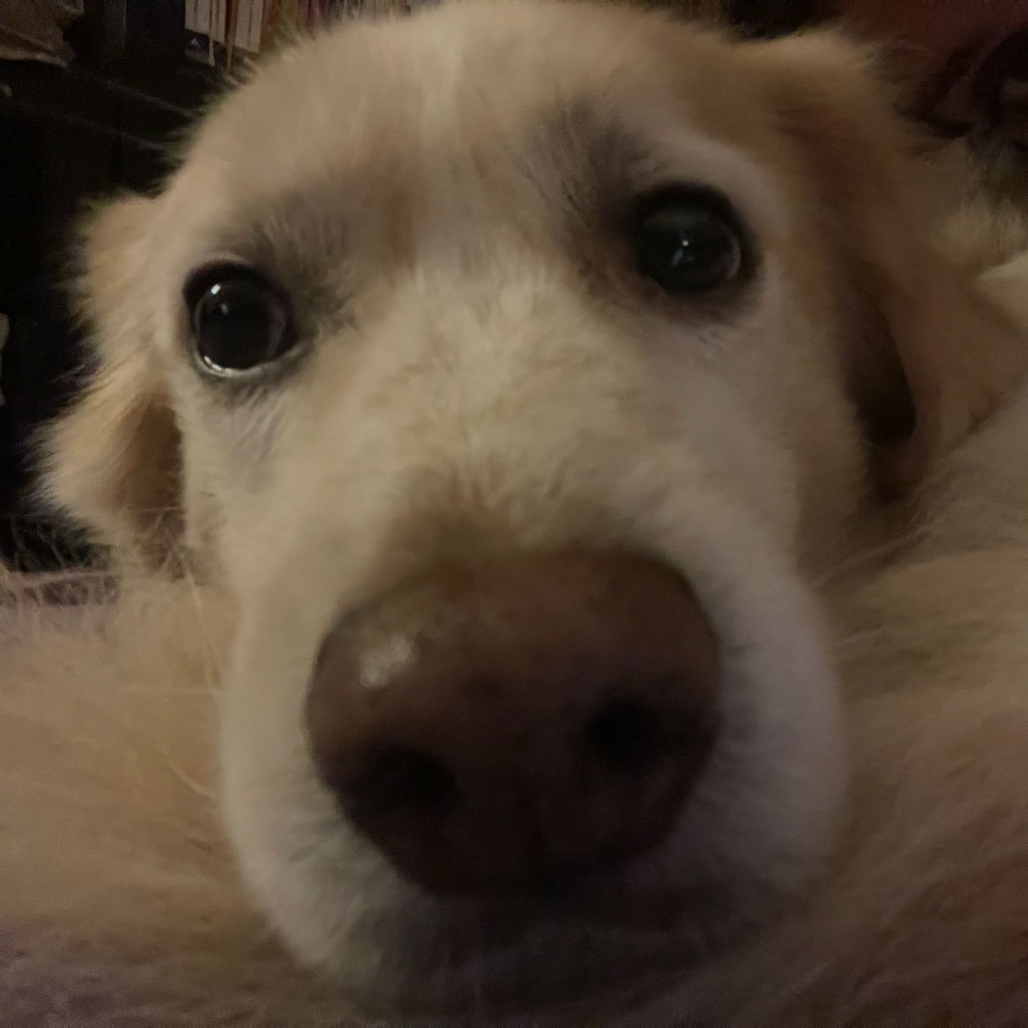 Astro