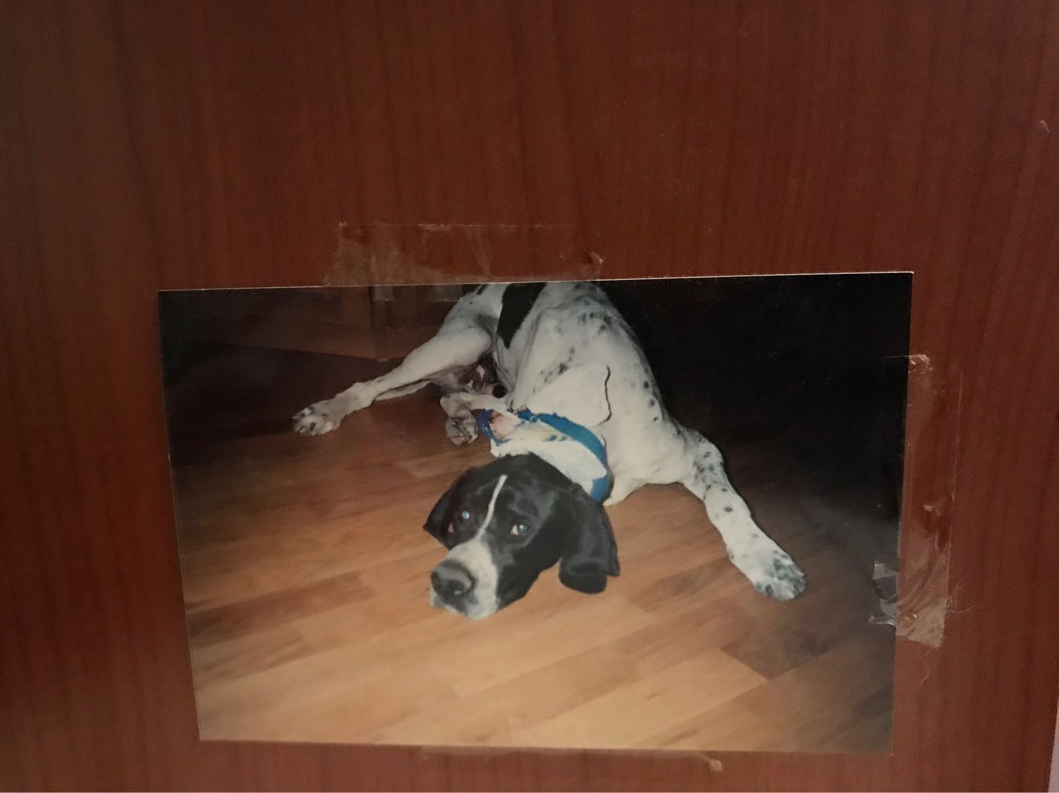 image-6