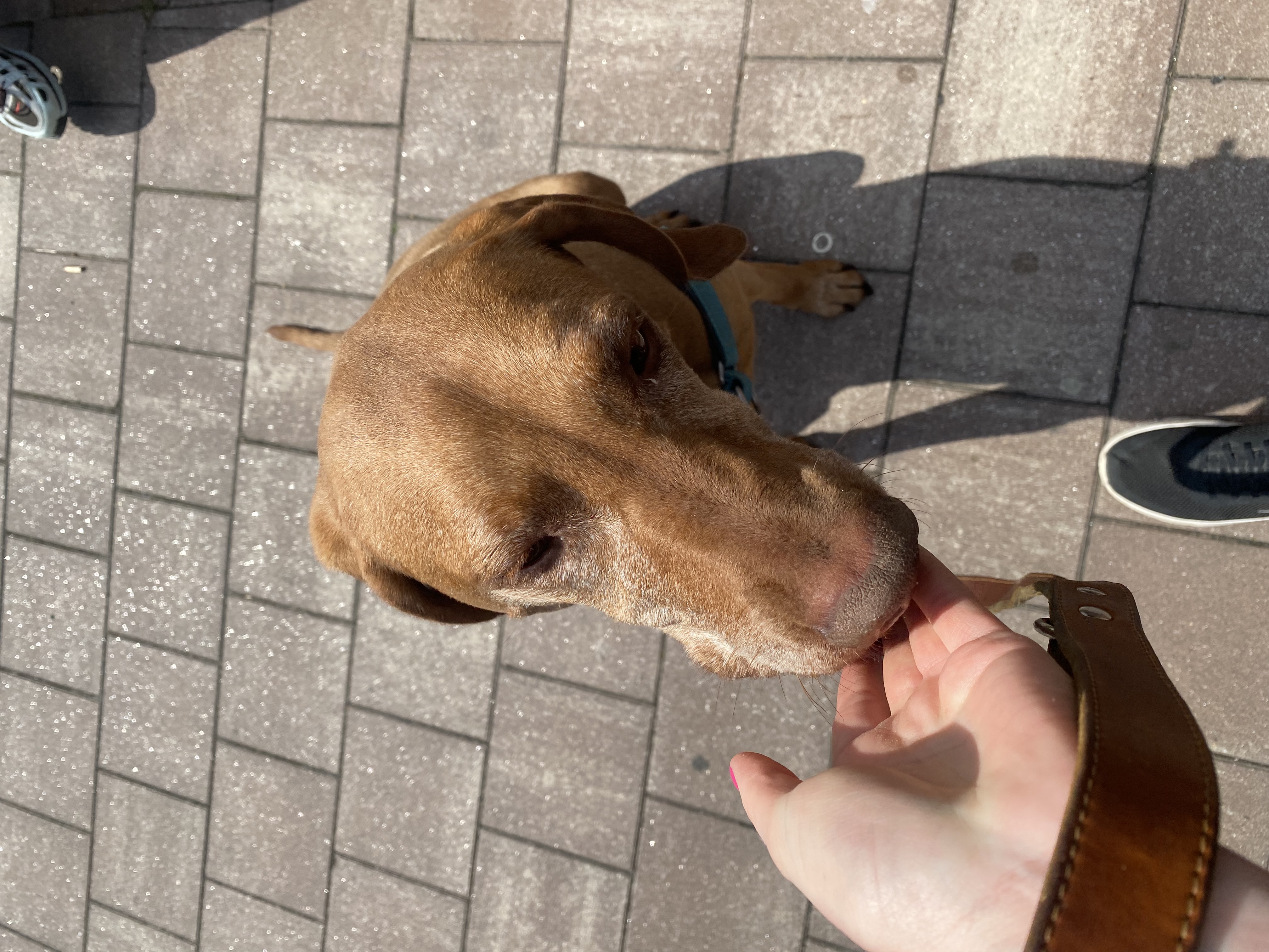 image-5