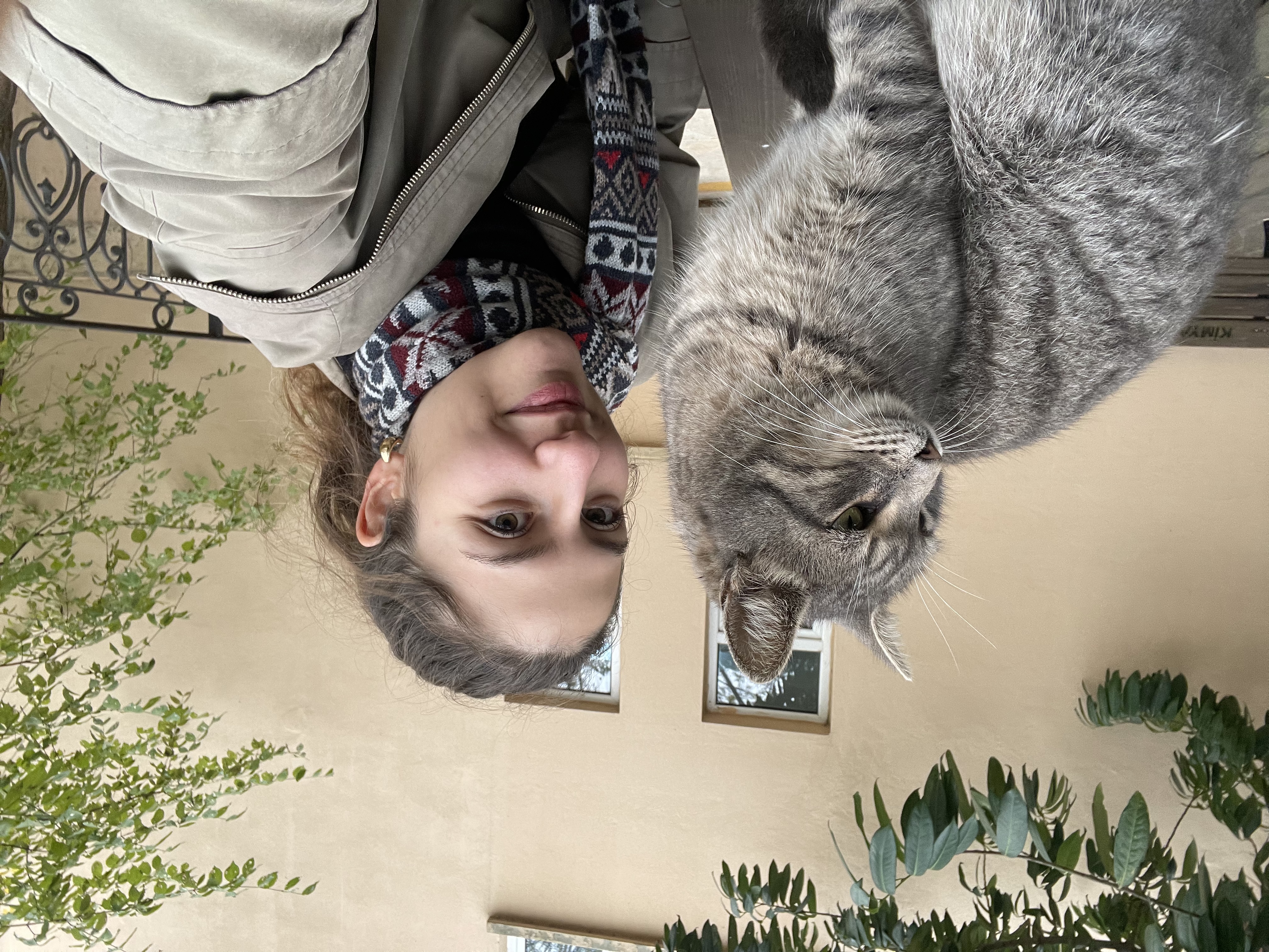 image-15