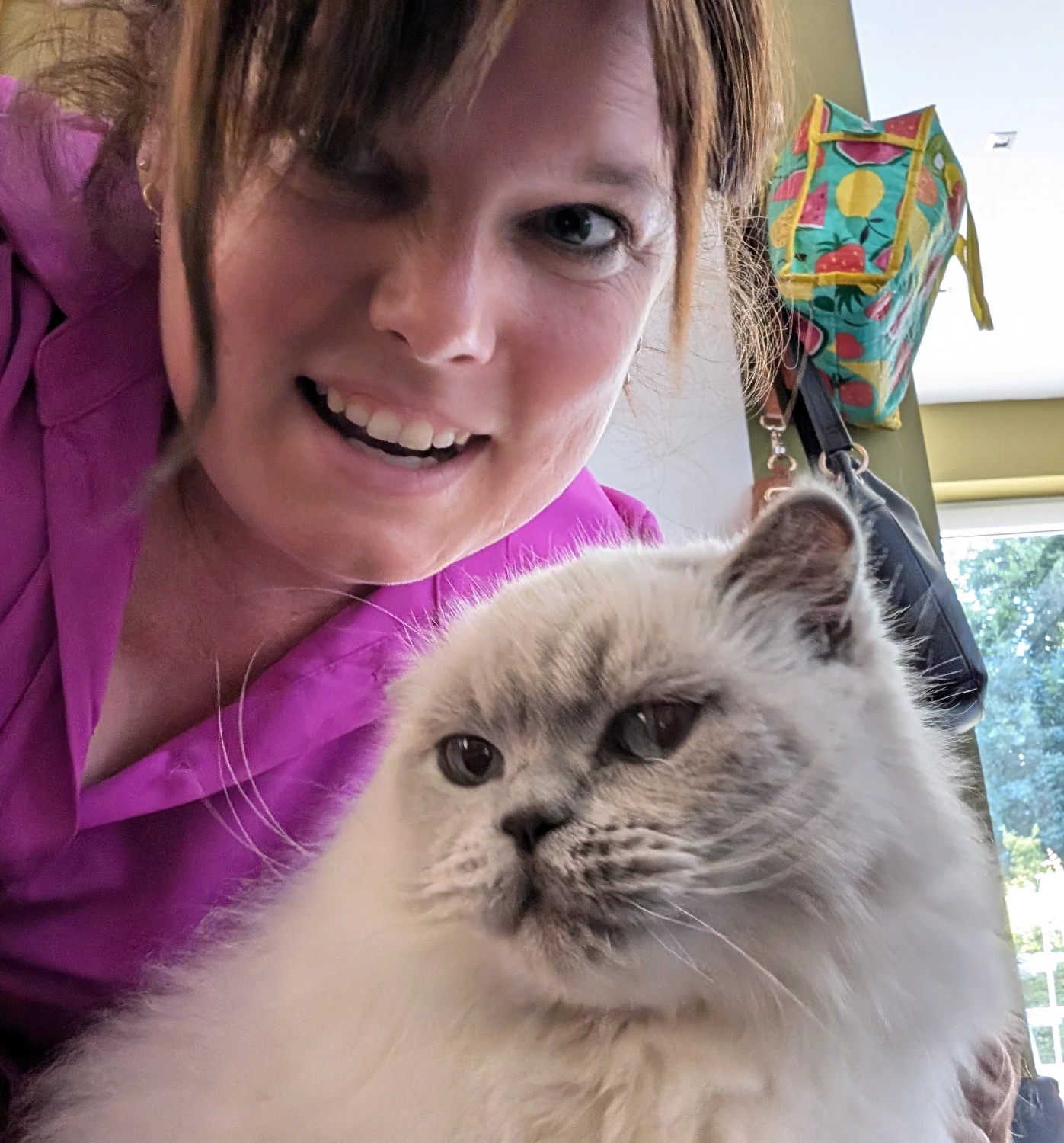 image-14