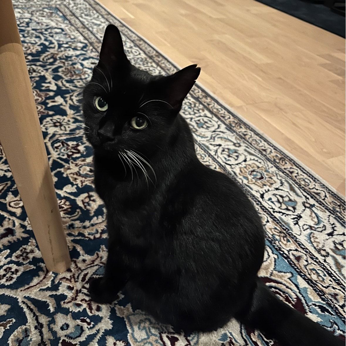 Luna