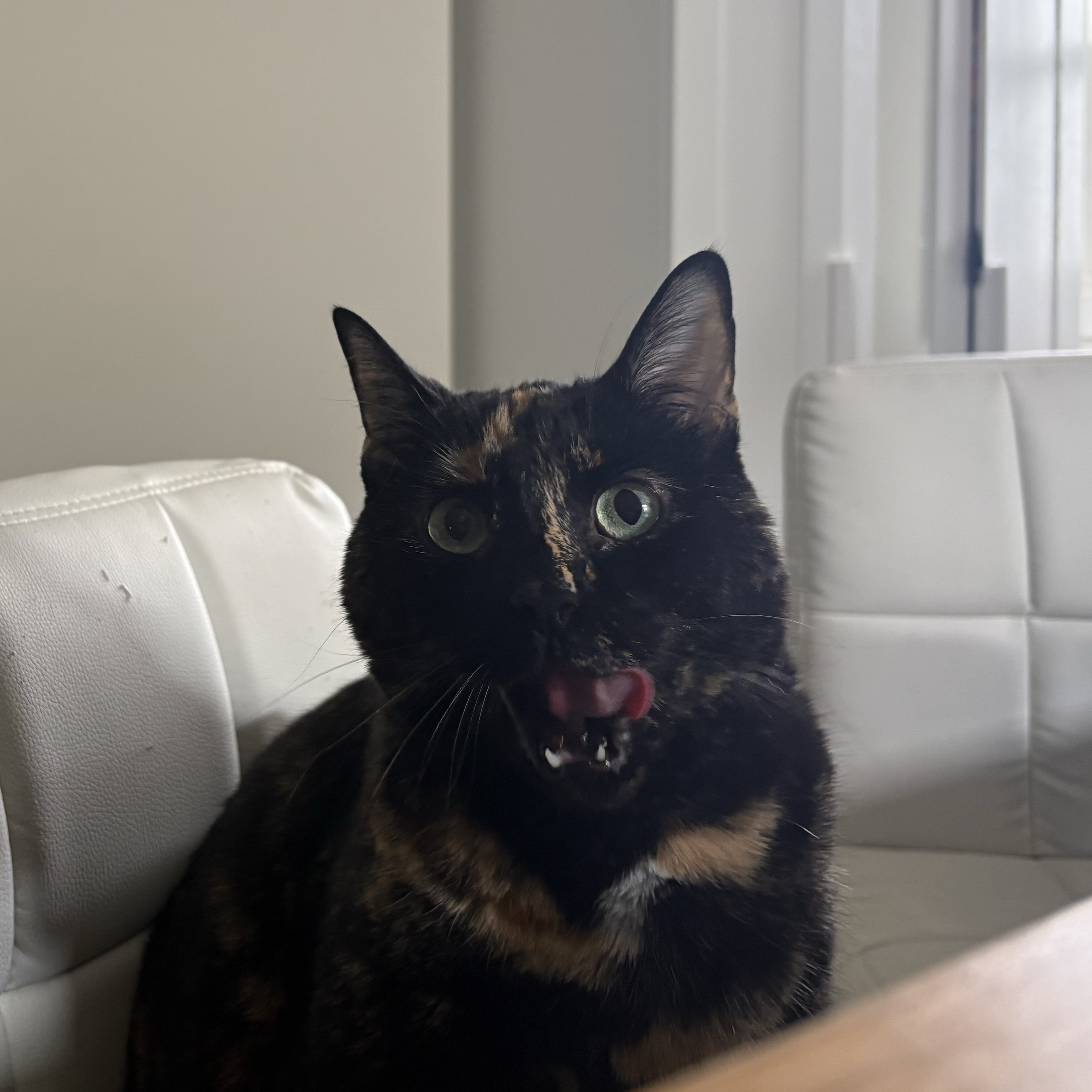 Mira