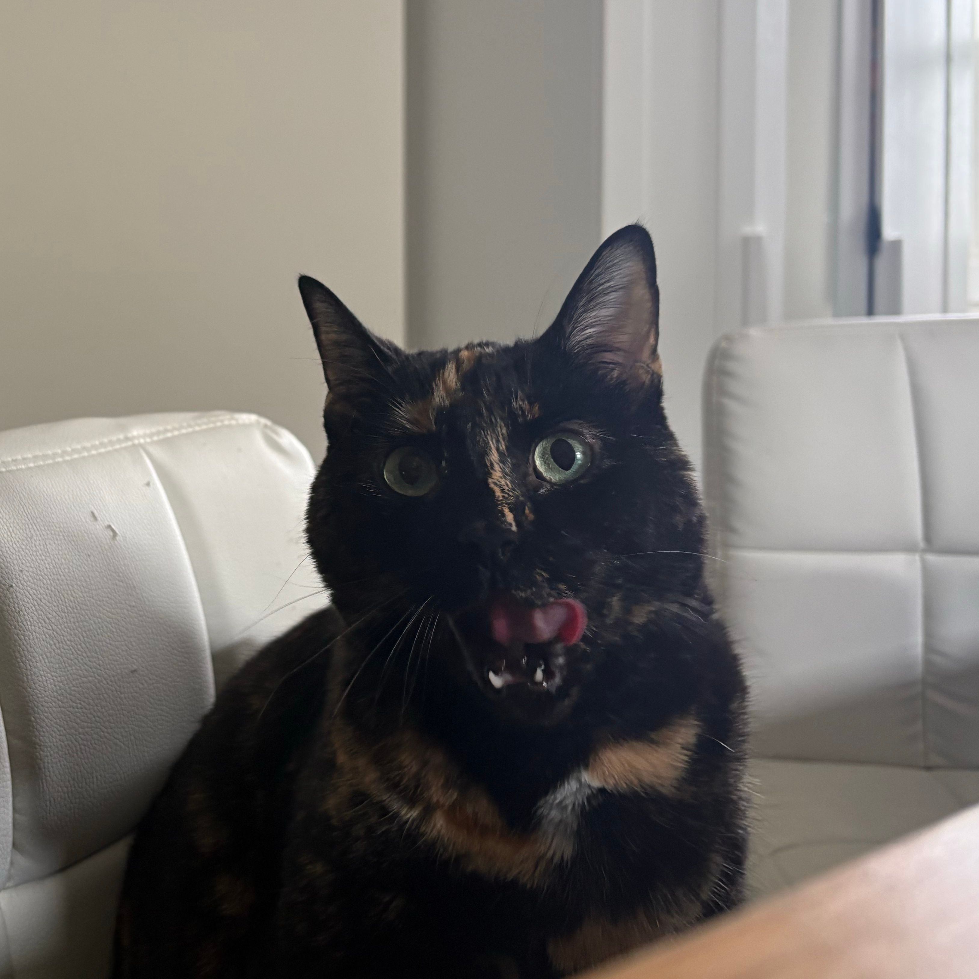 Mira