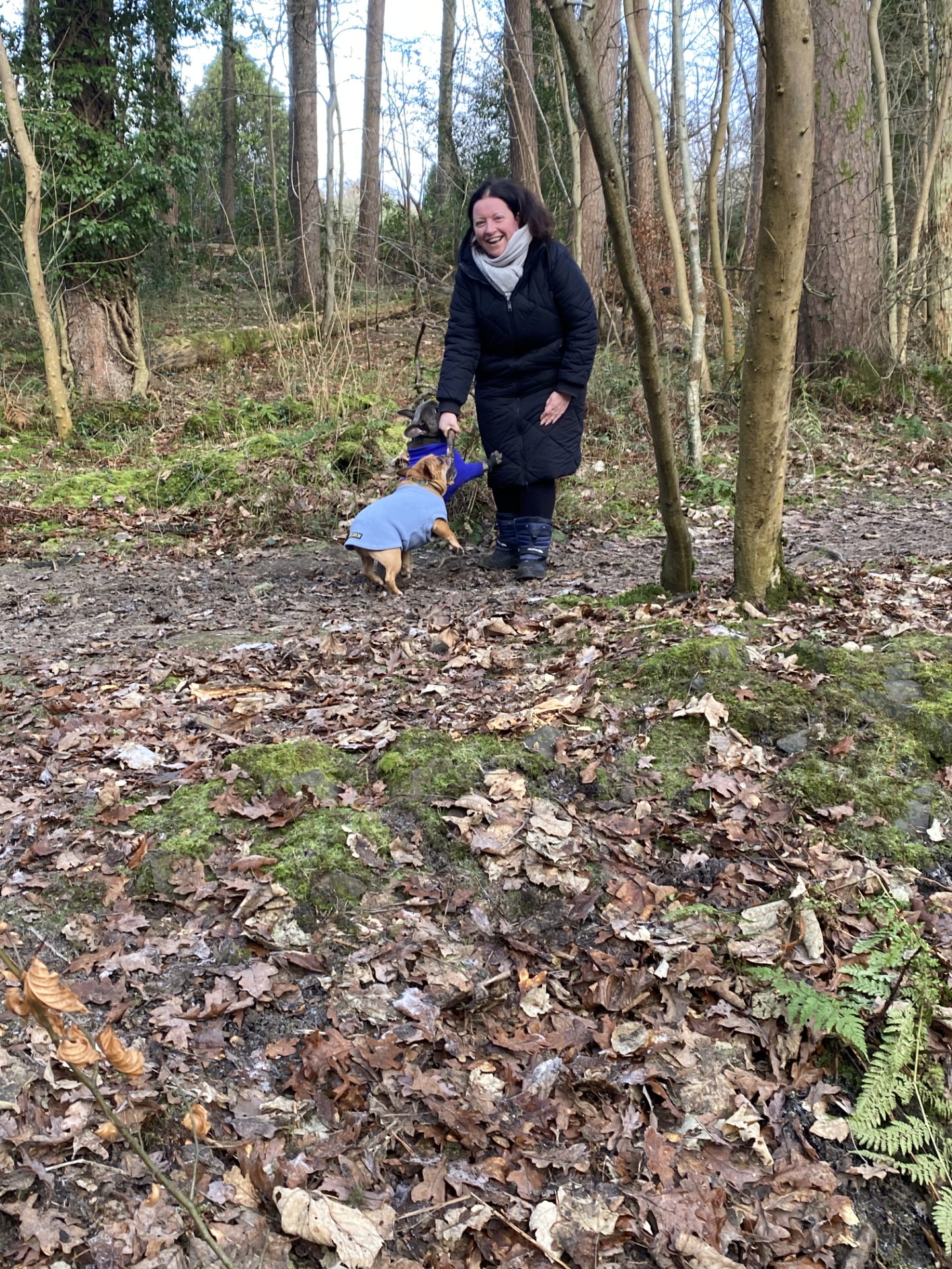 image-3