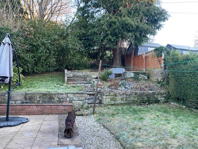 image-14