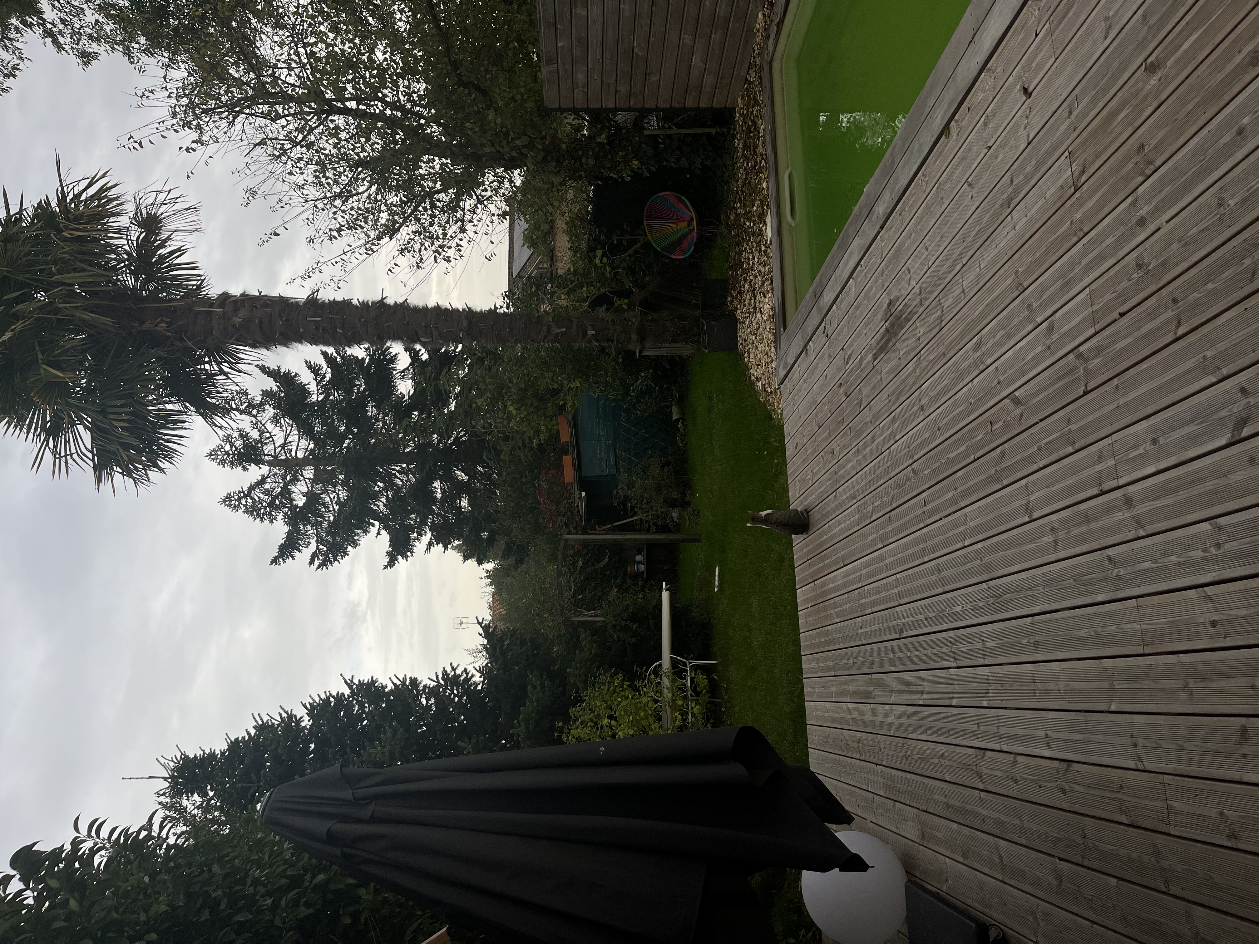 image-17