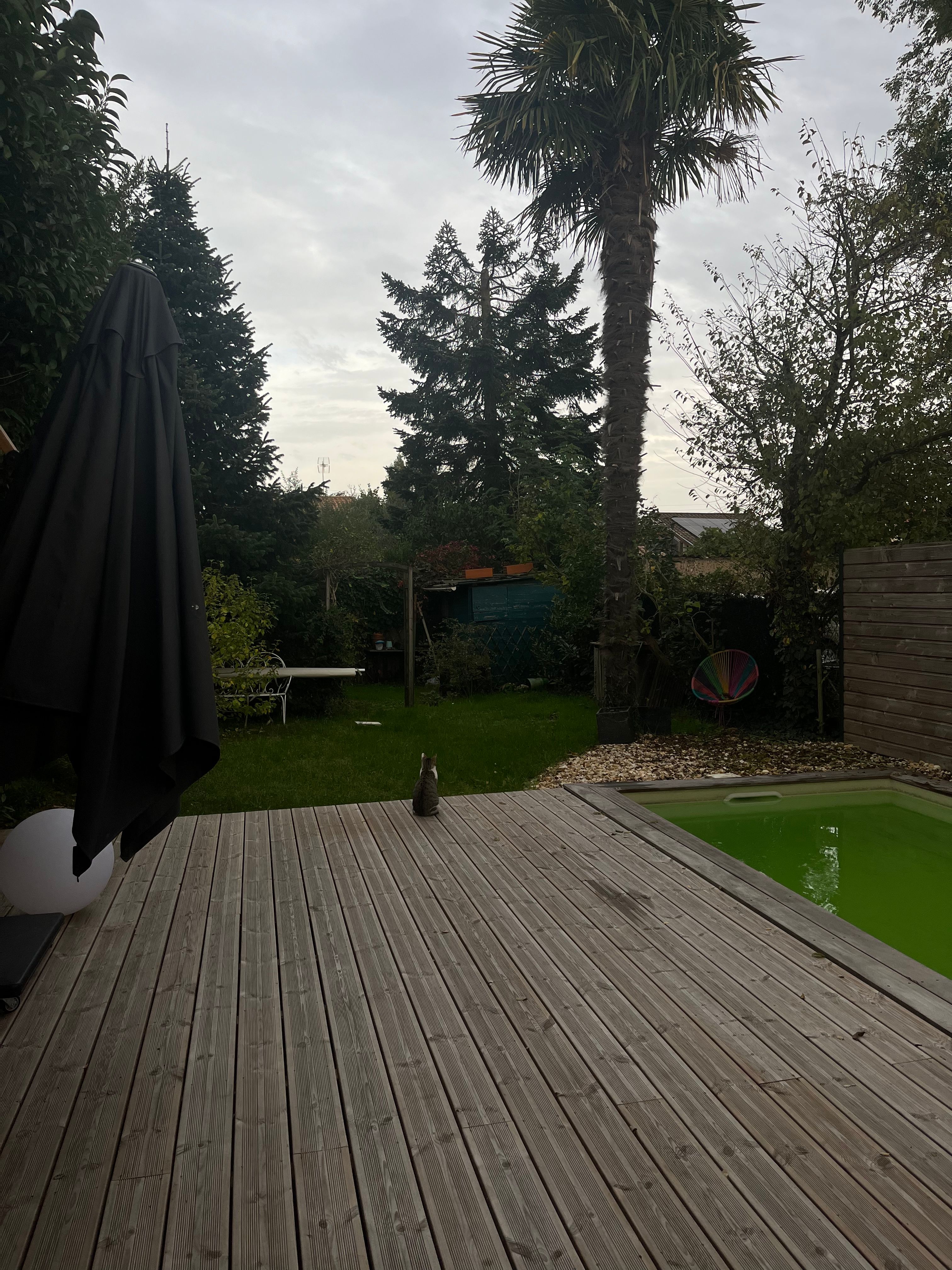 image-17