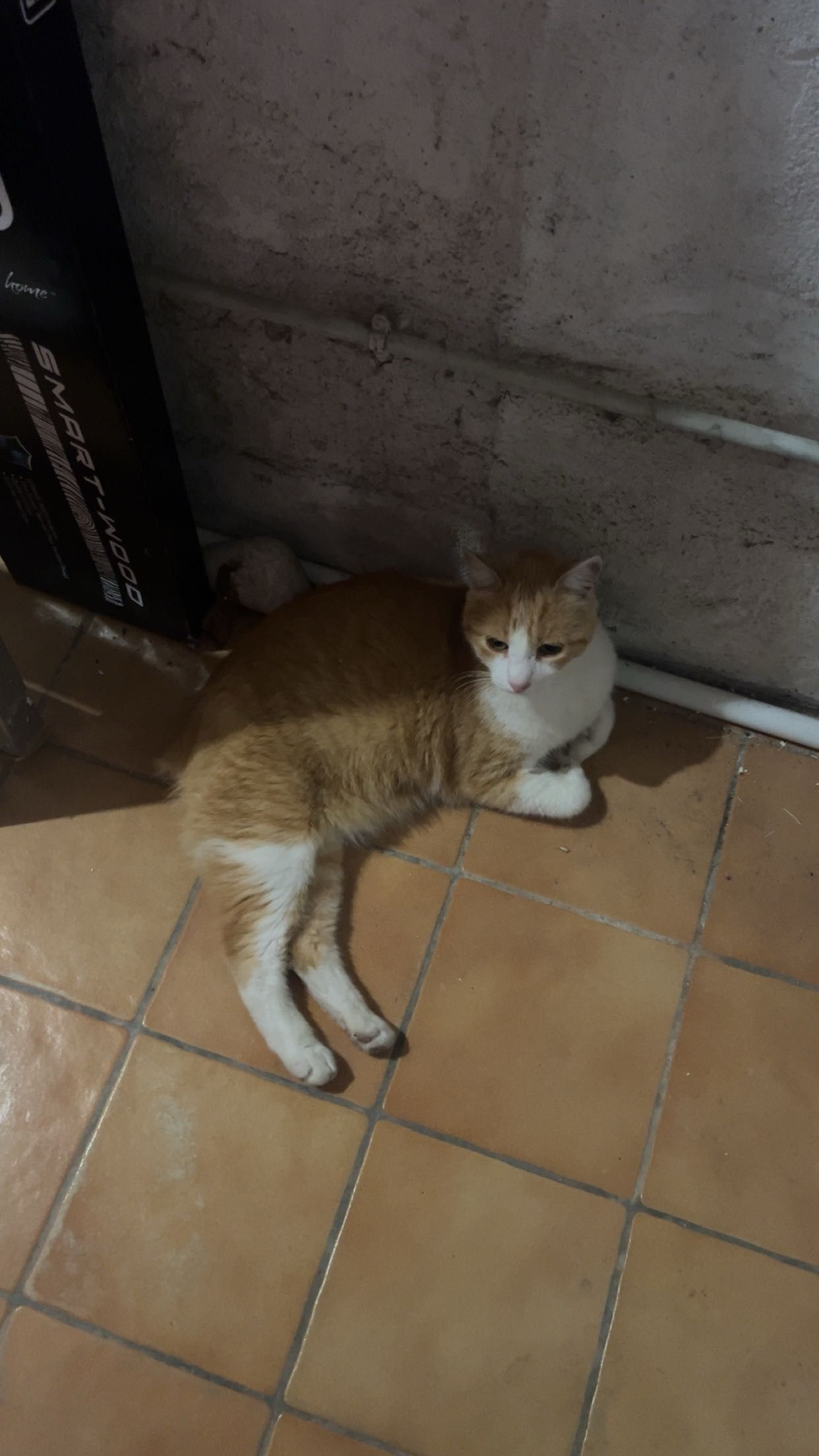 image-8