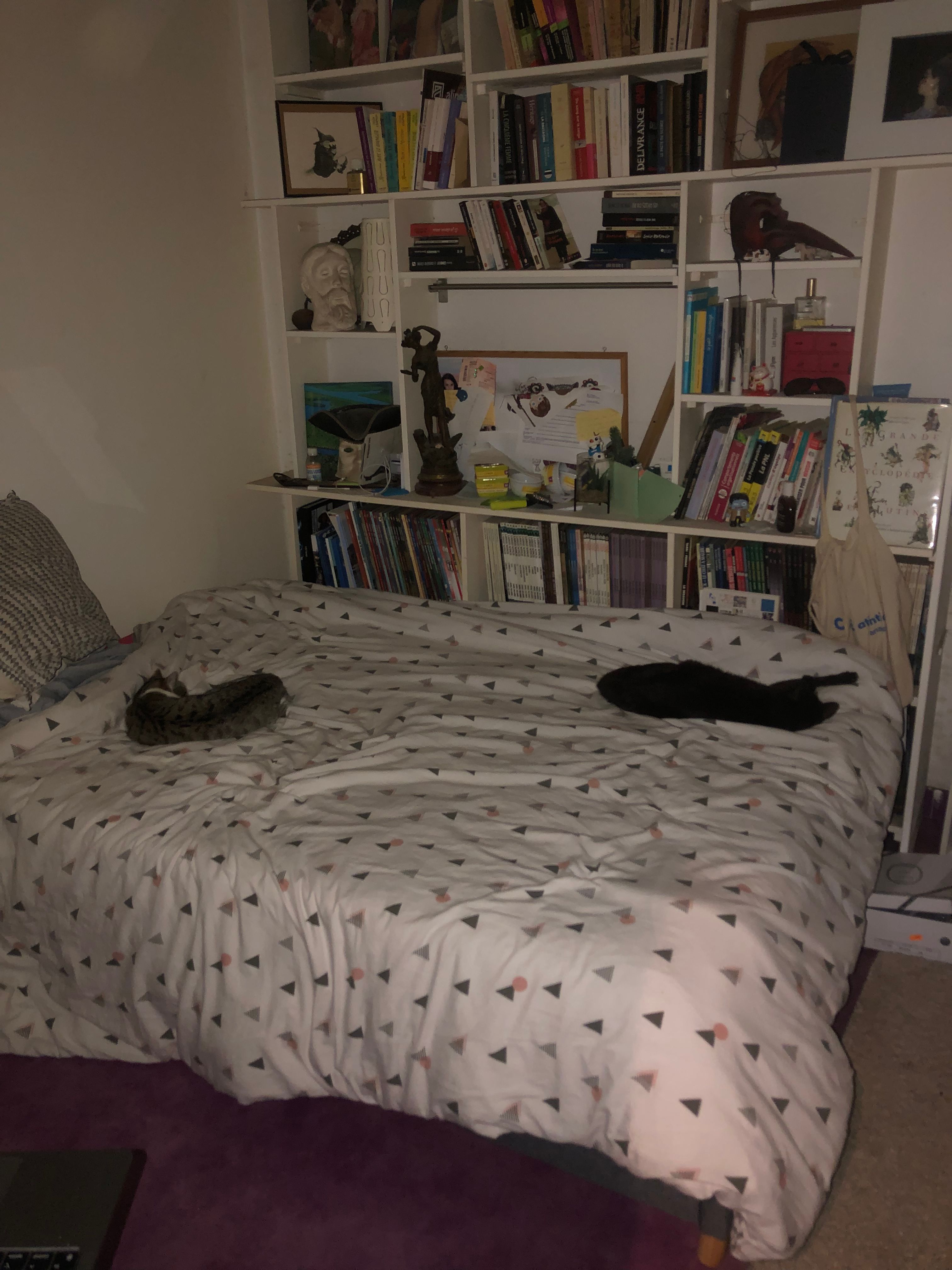 image-20