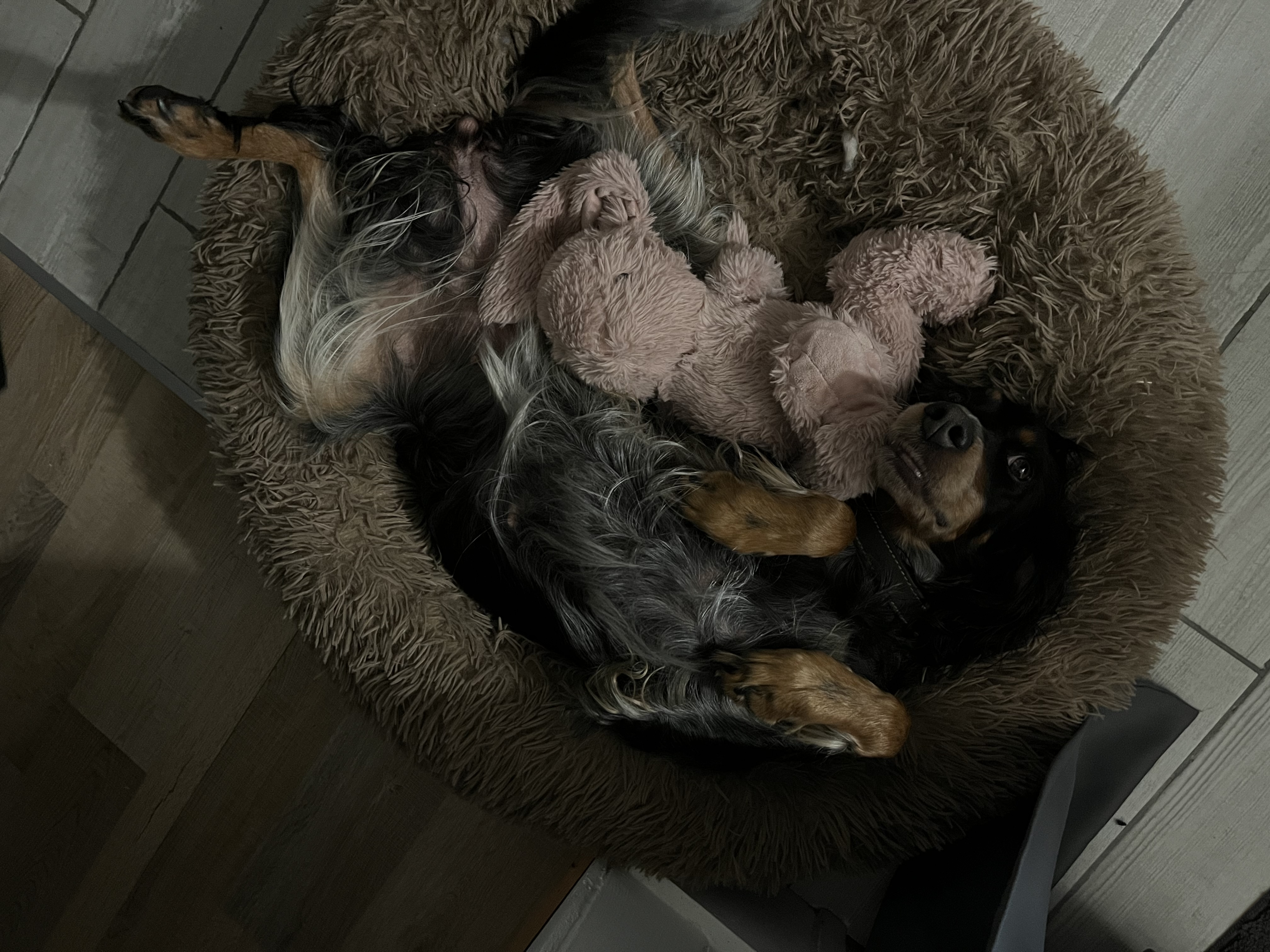 image-9