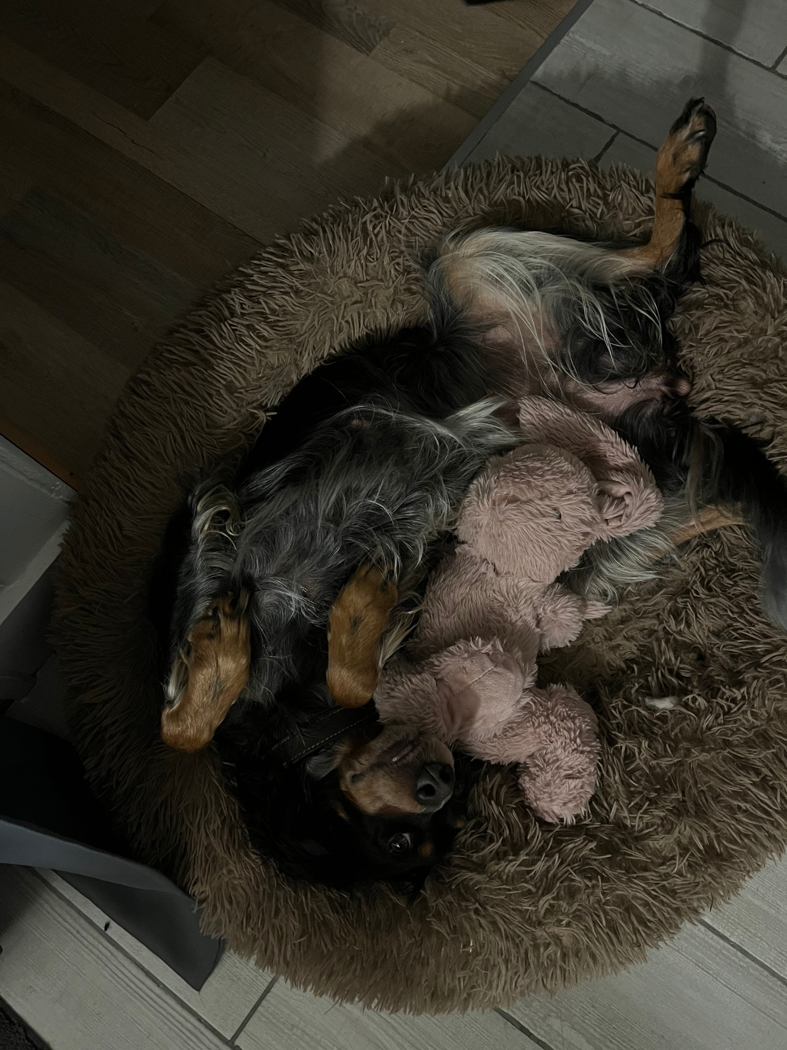 image-9