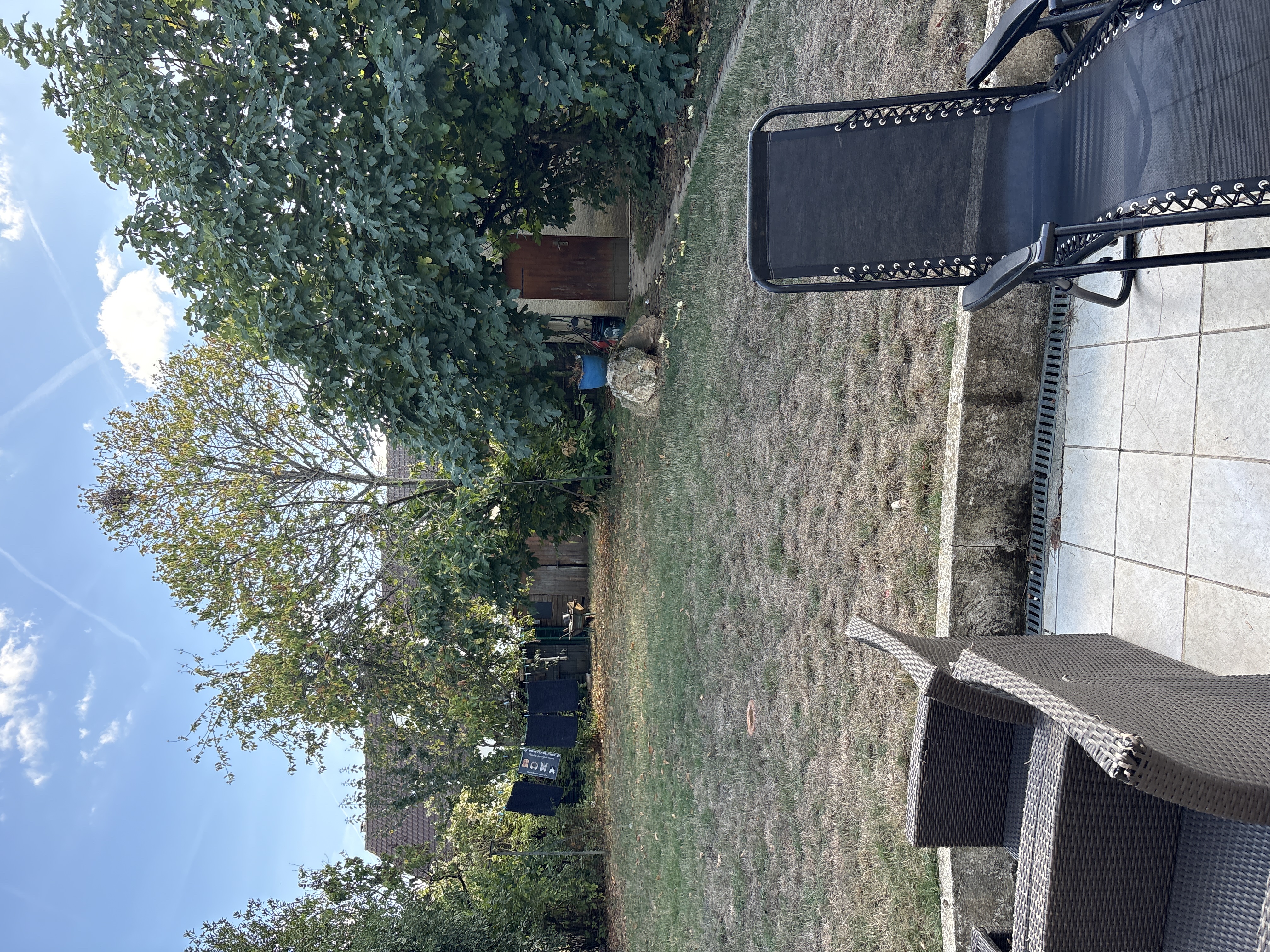 image-31