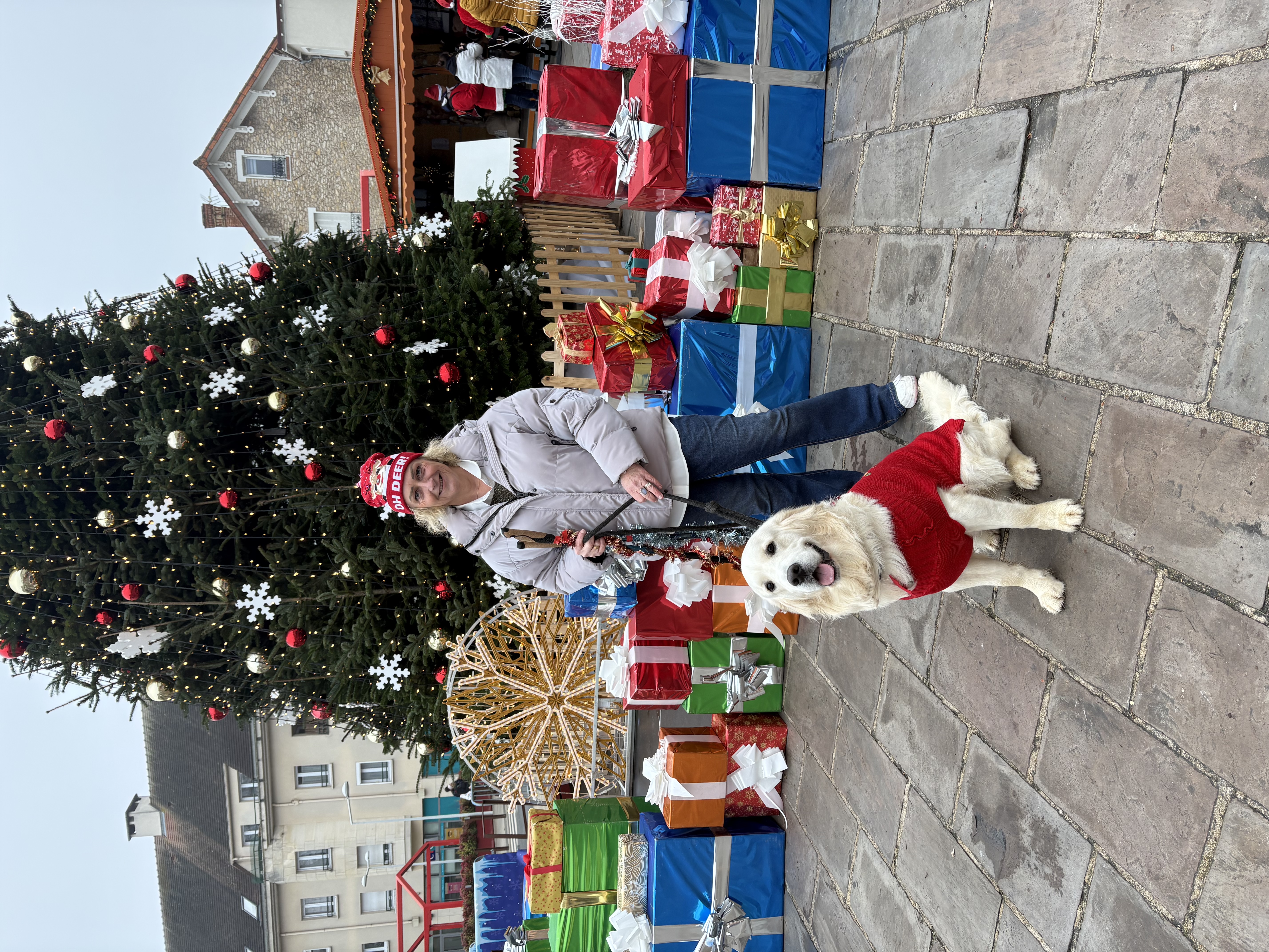 image-20