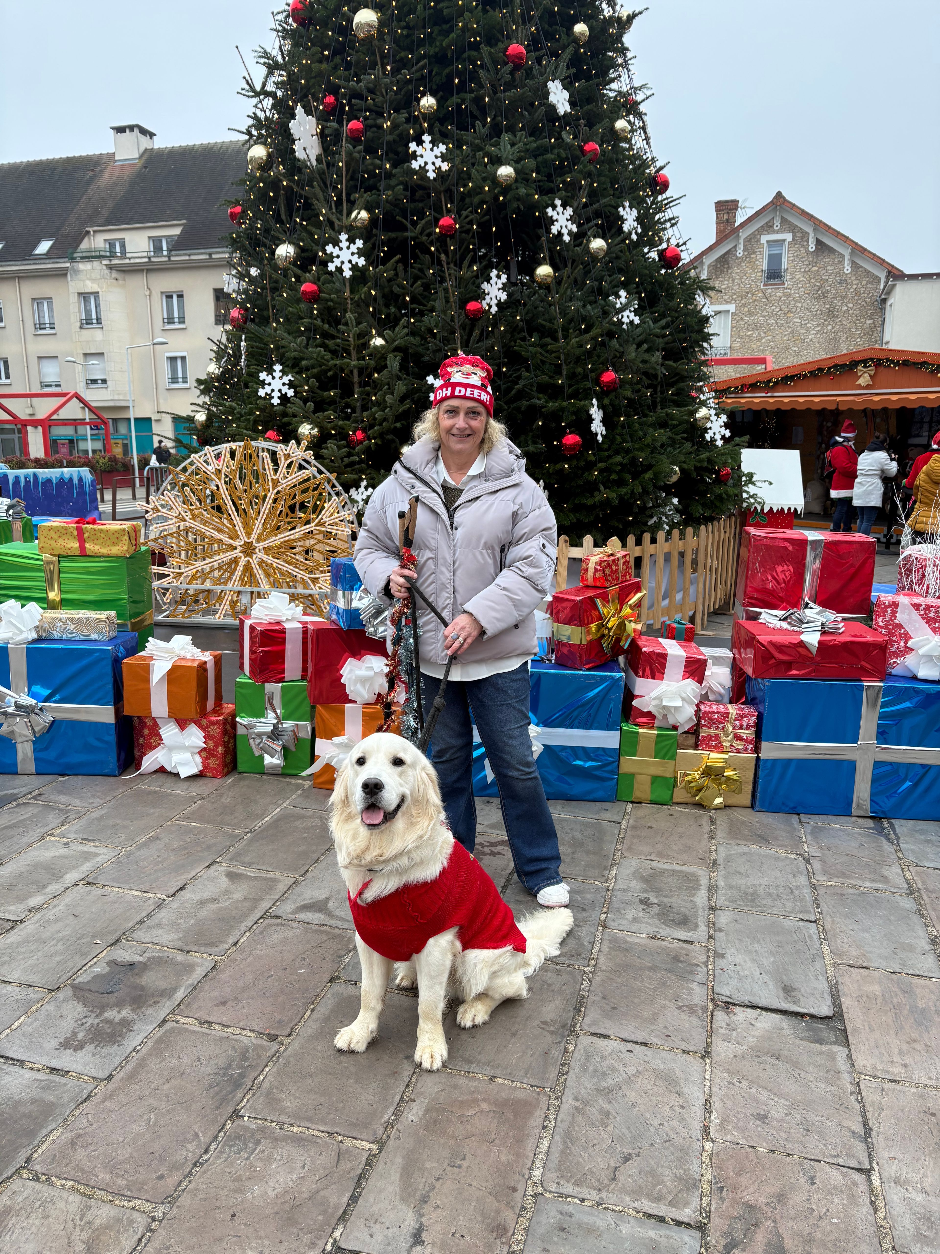 image-20