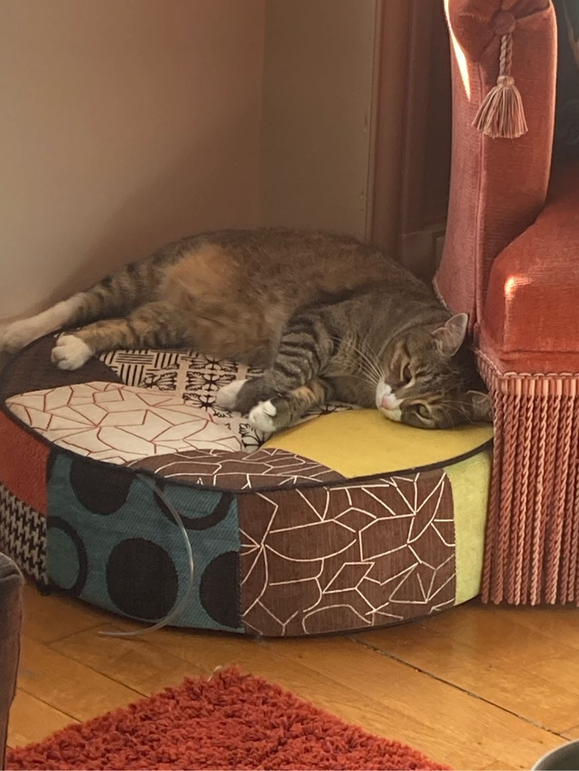 image-6