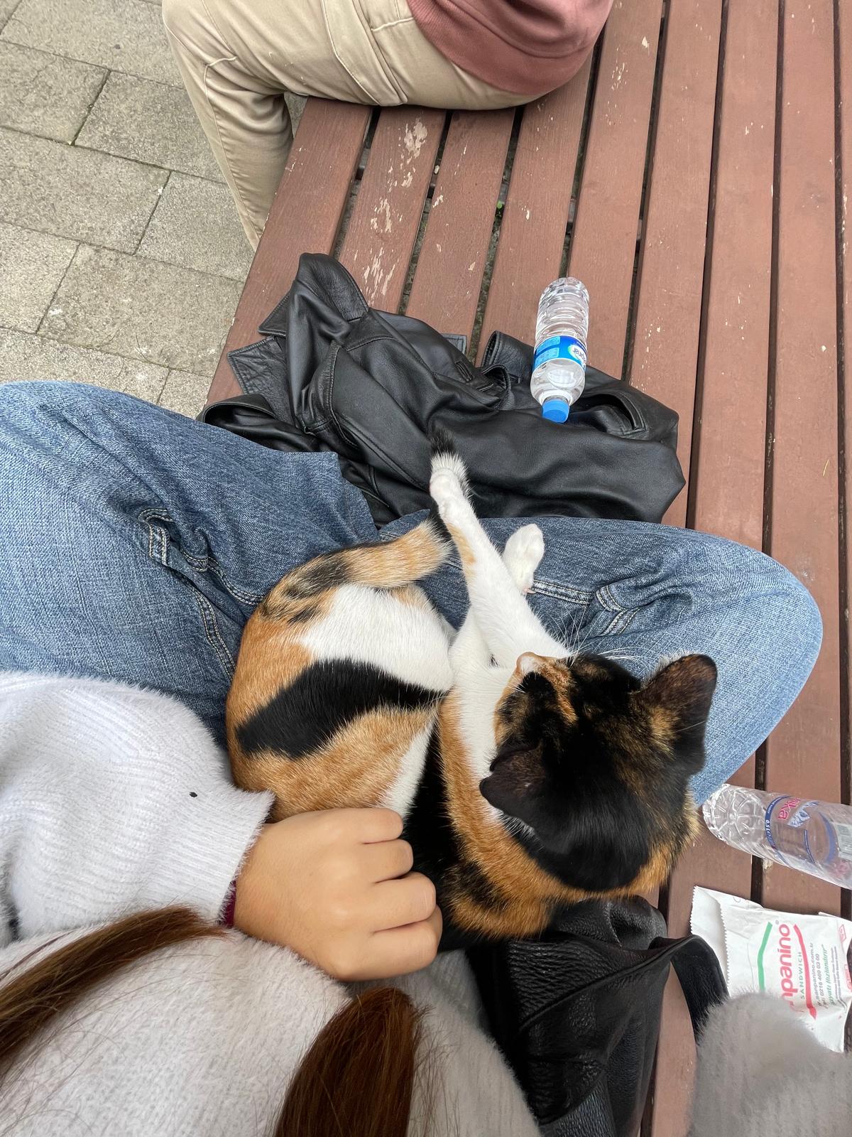 image-5