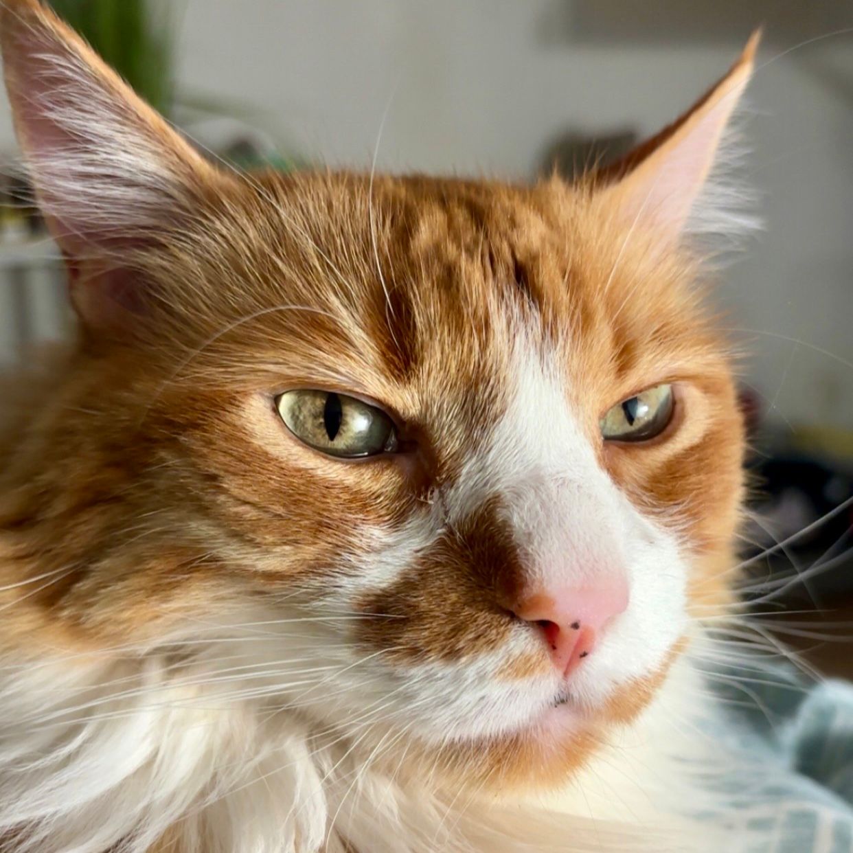 Charlie