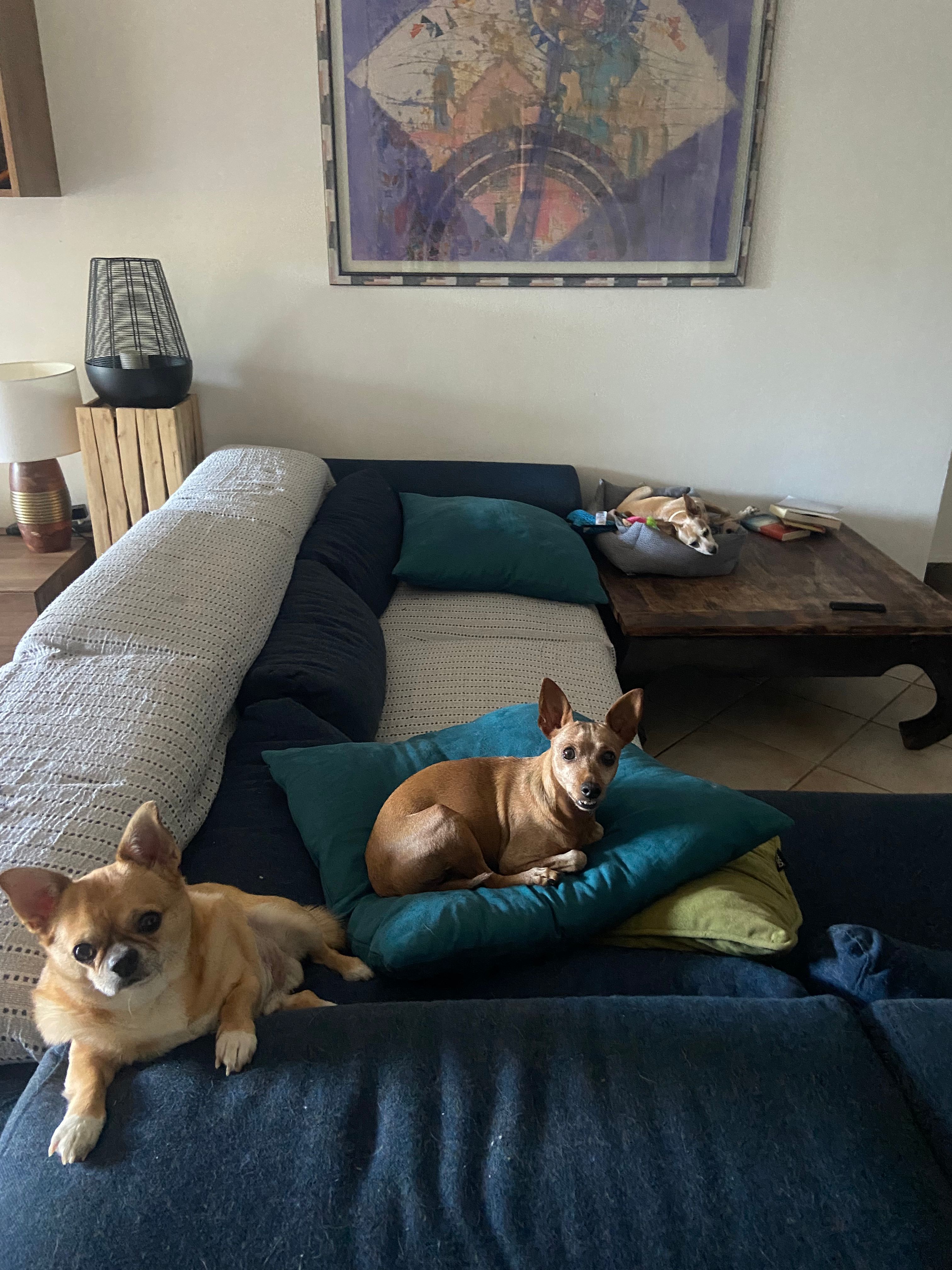 image-16