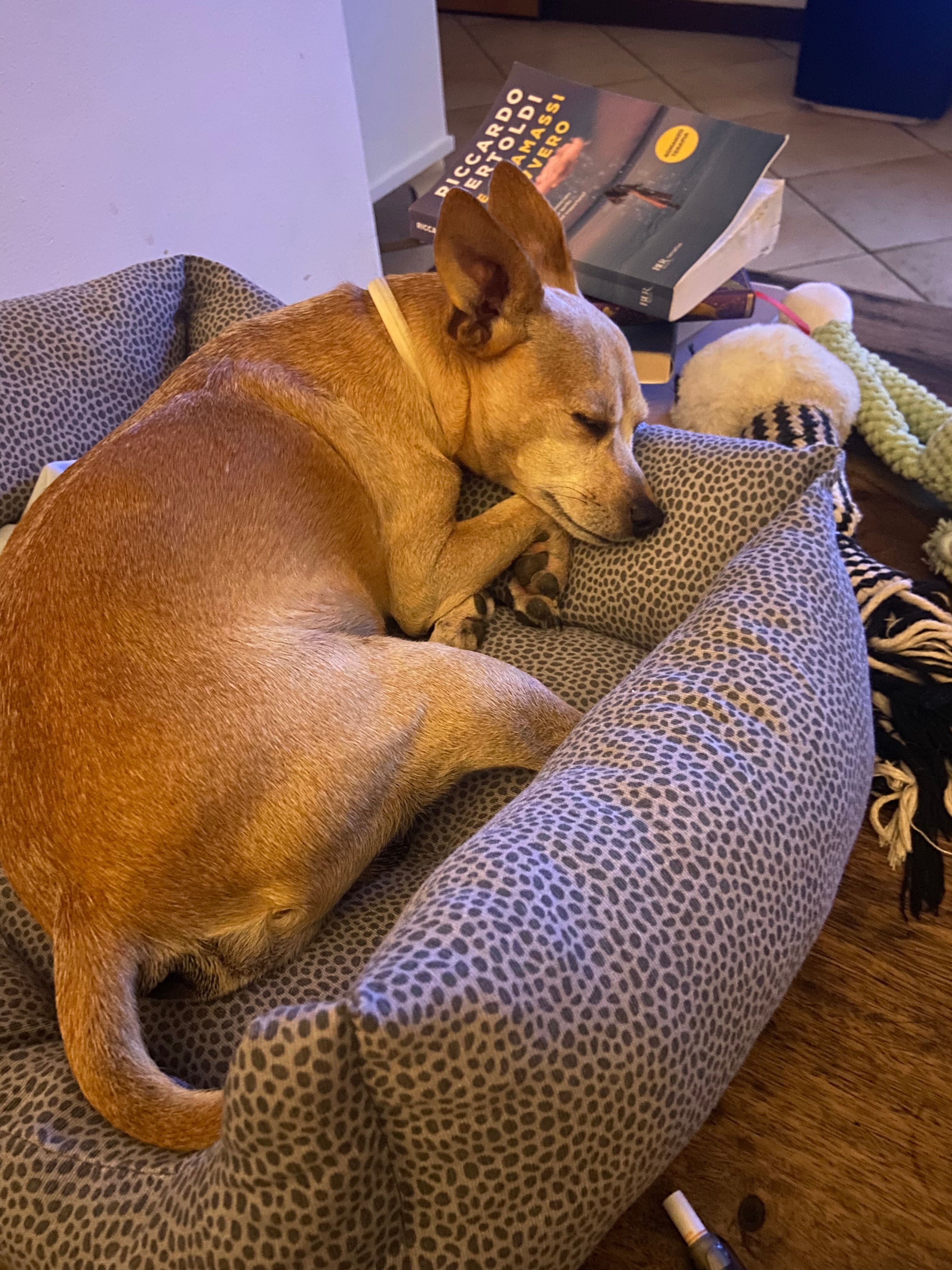 image-17