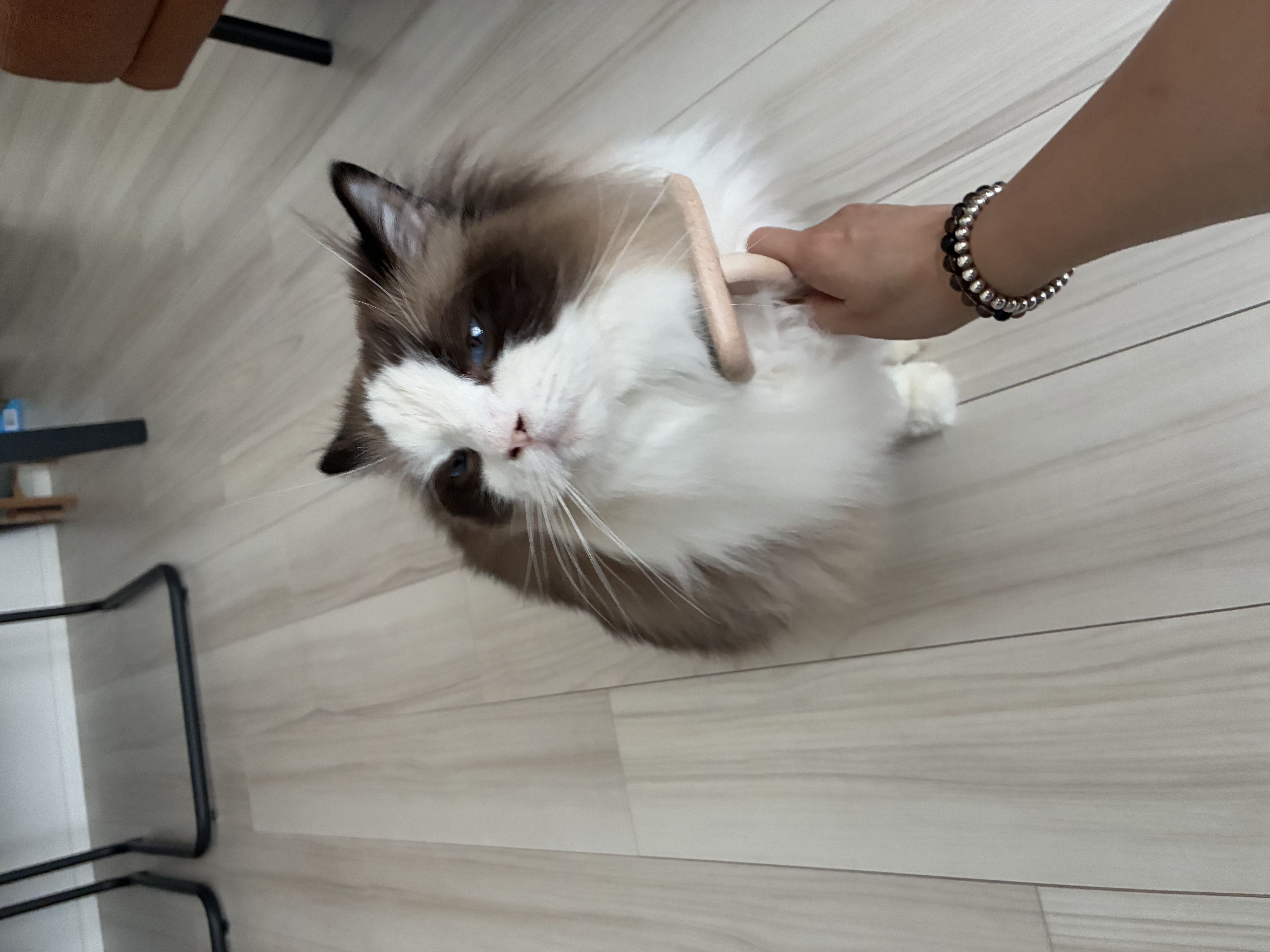 image-6