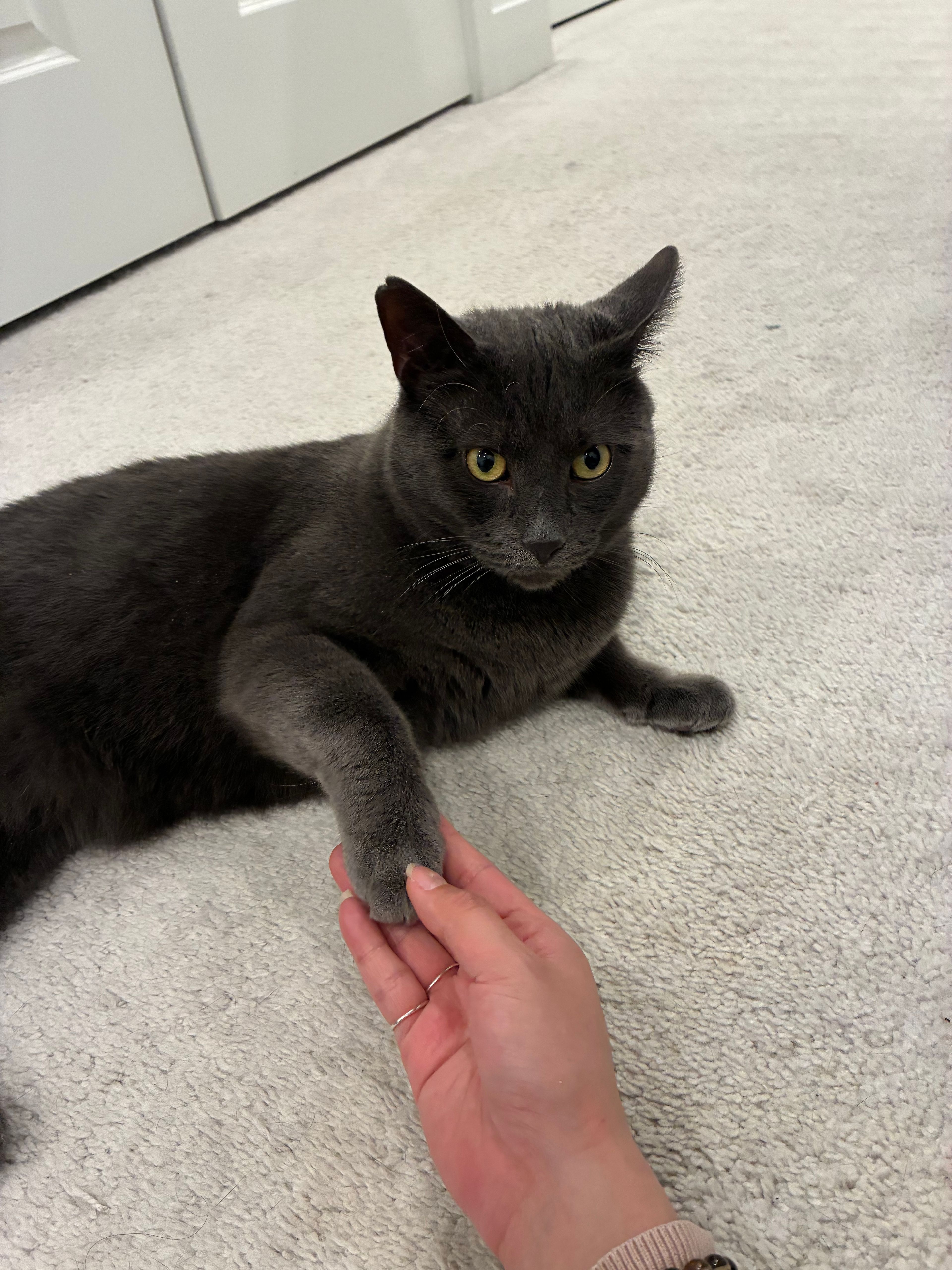 image-11