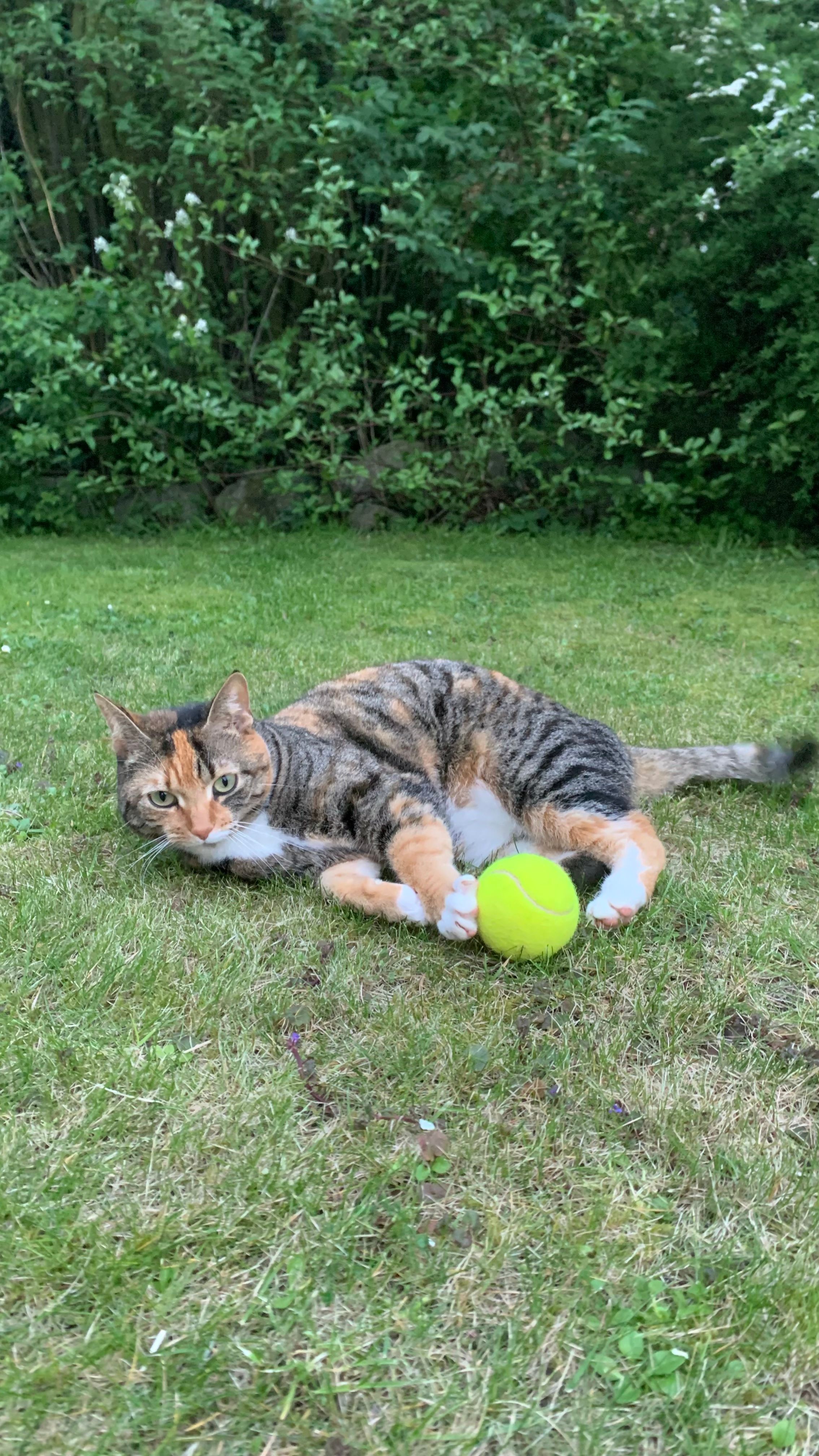 image-6