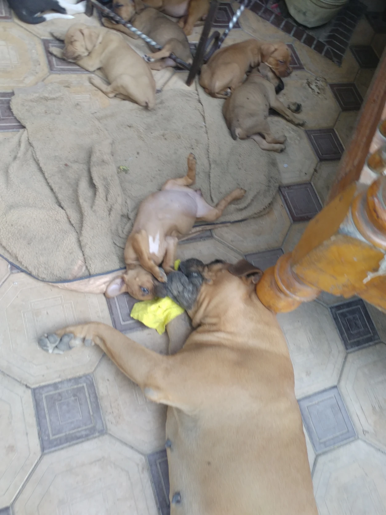 image-4
