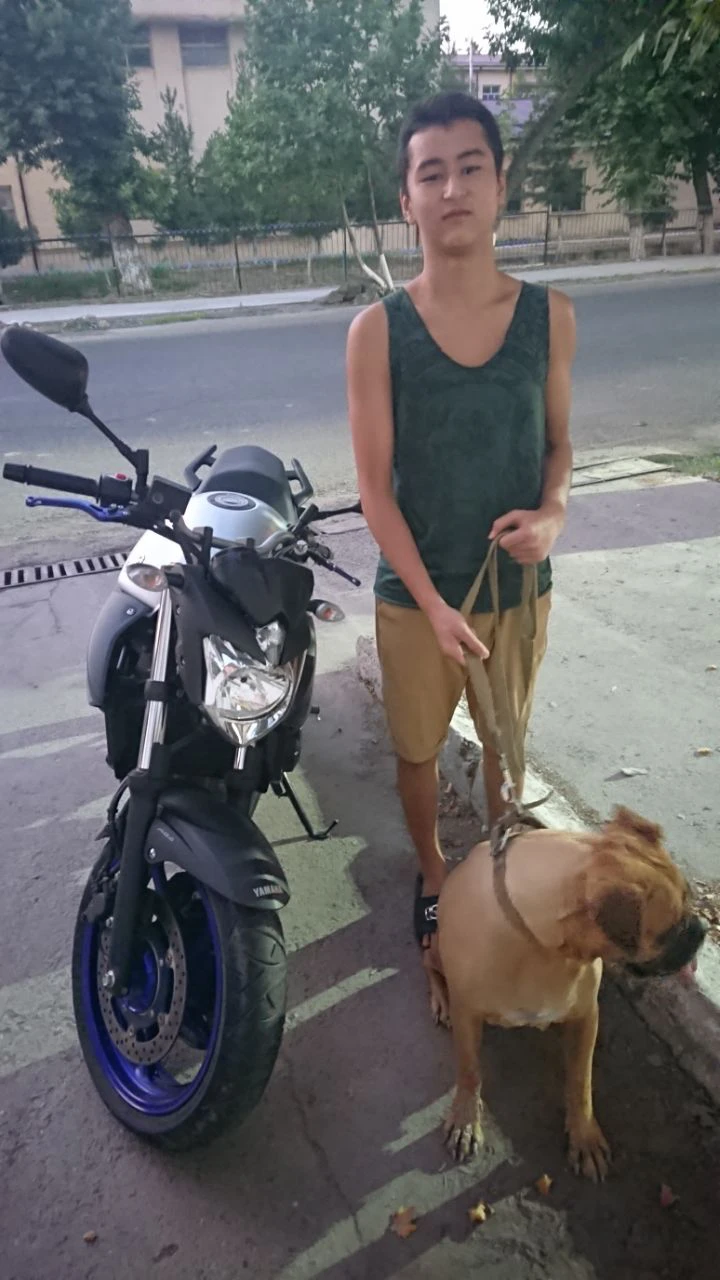image-9