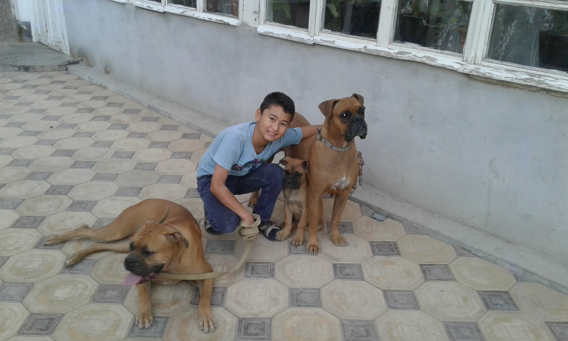 image-10
