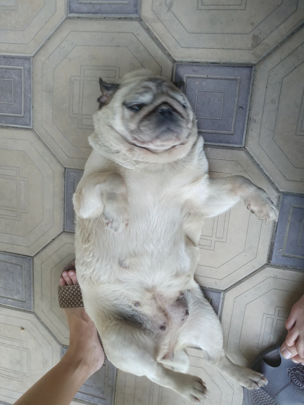 image-8