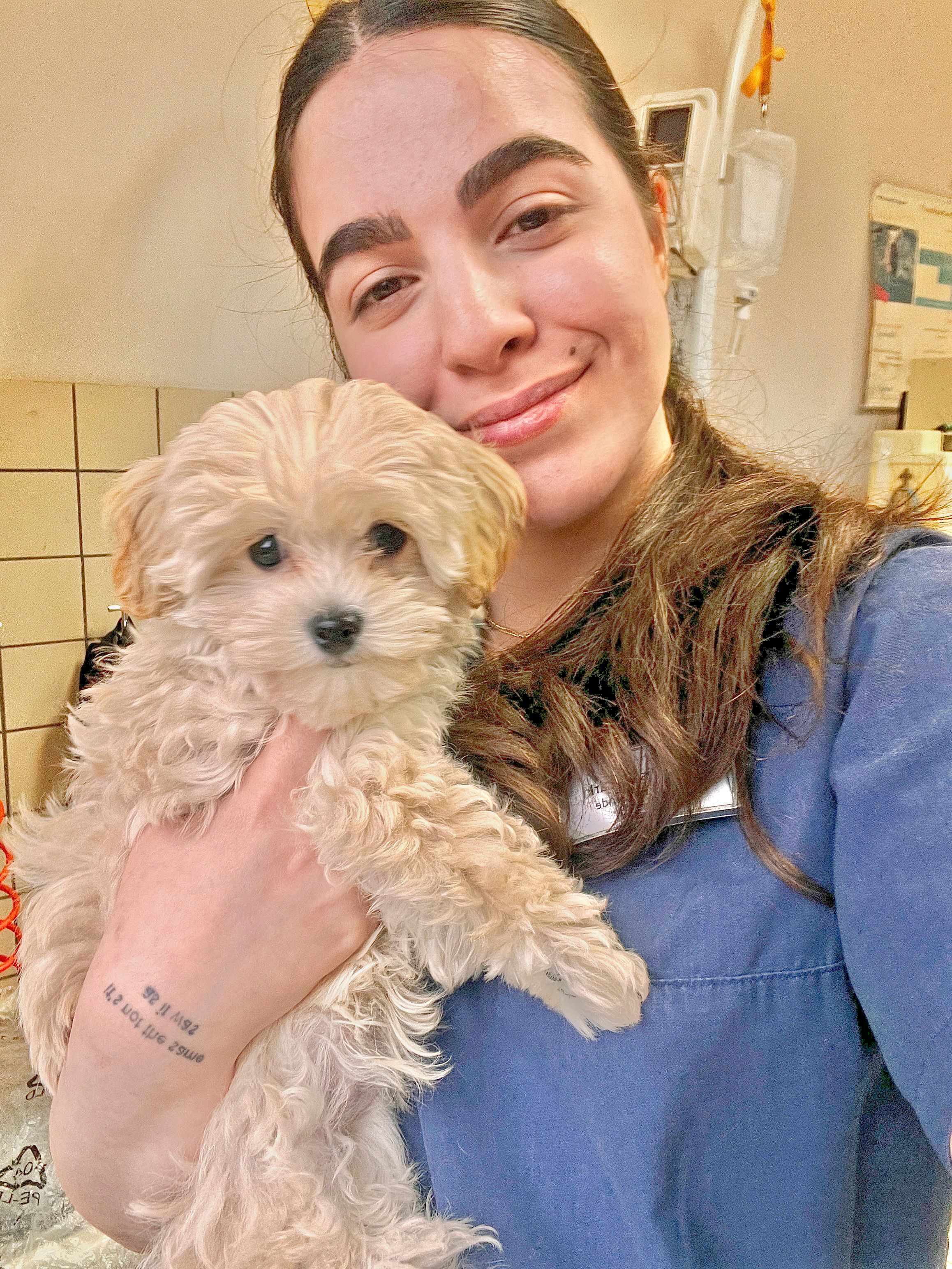 image-3
