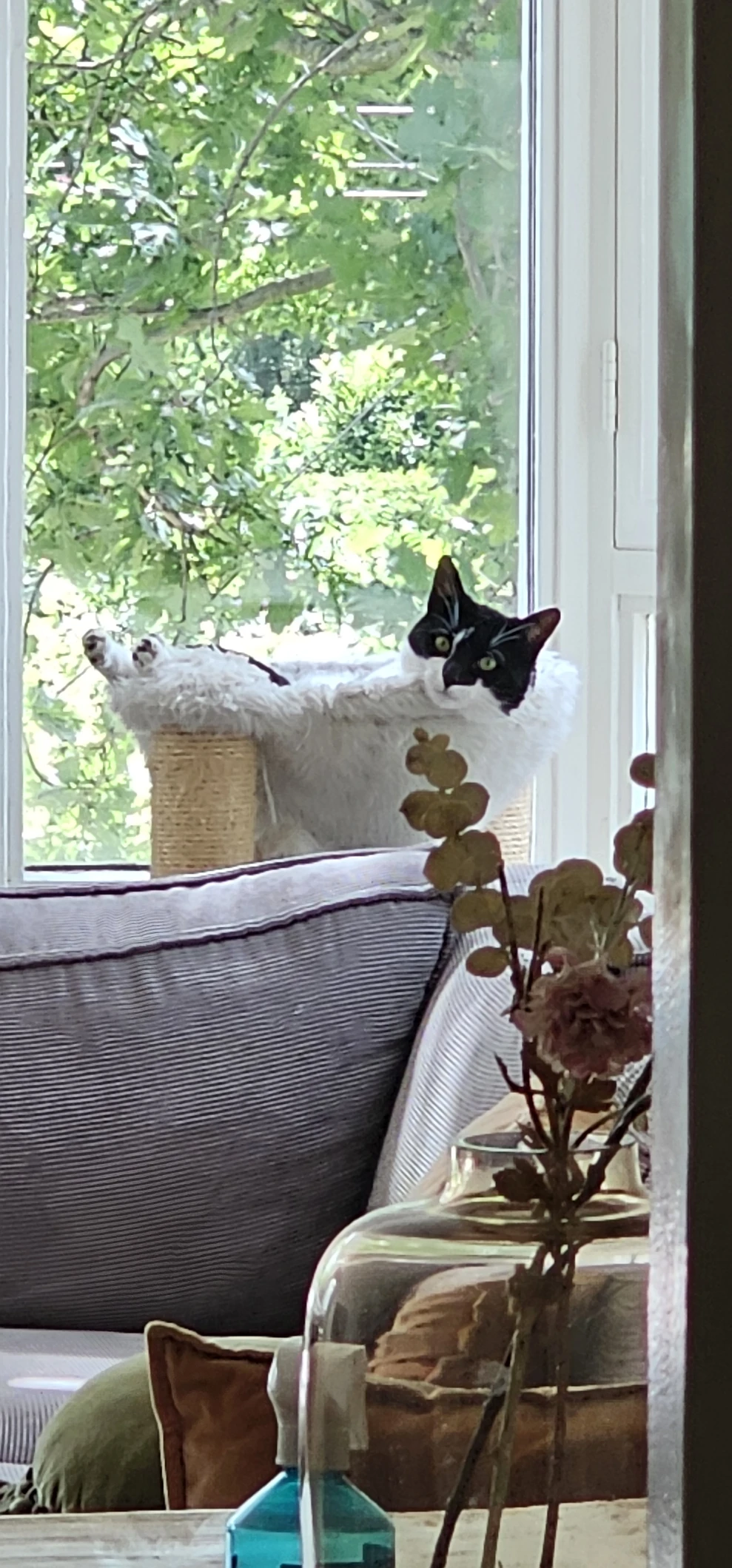 image-6