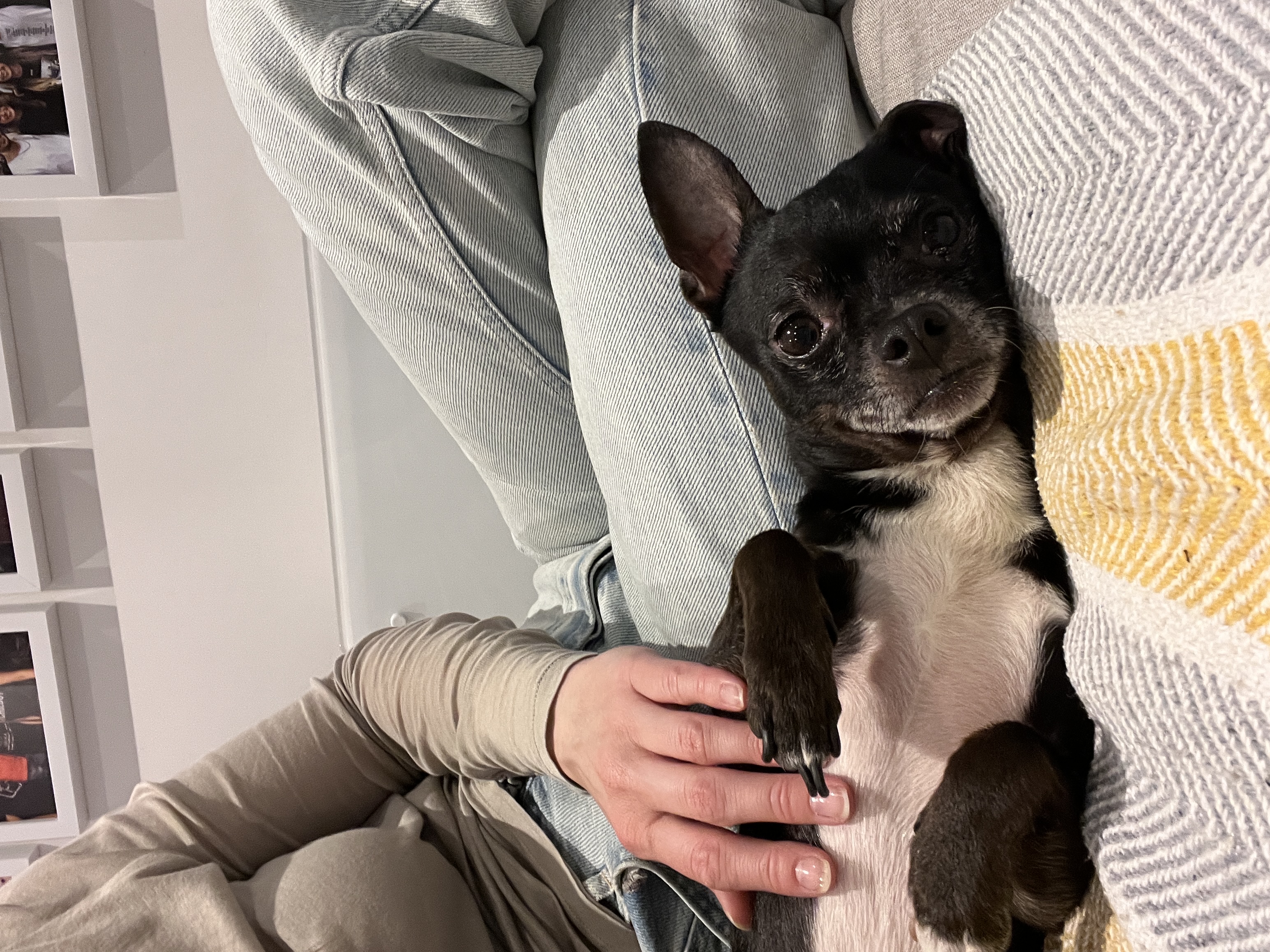 image-8