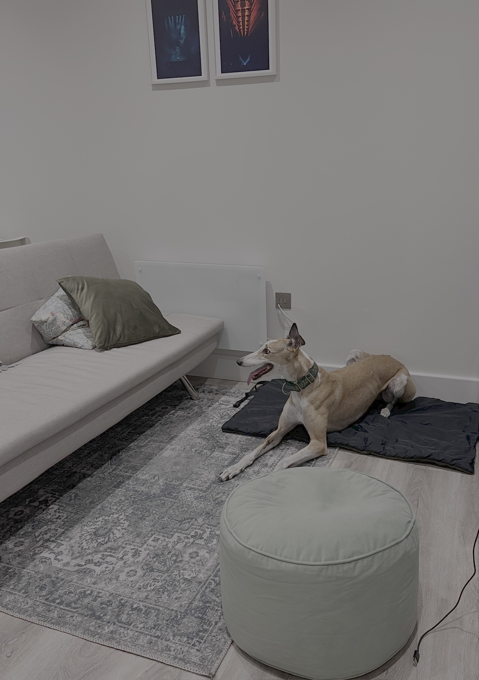 image-19